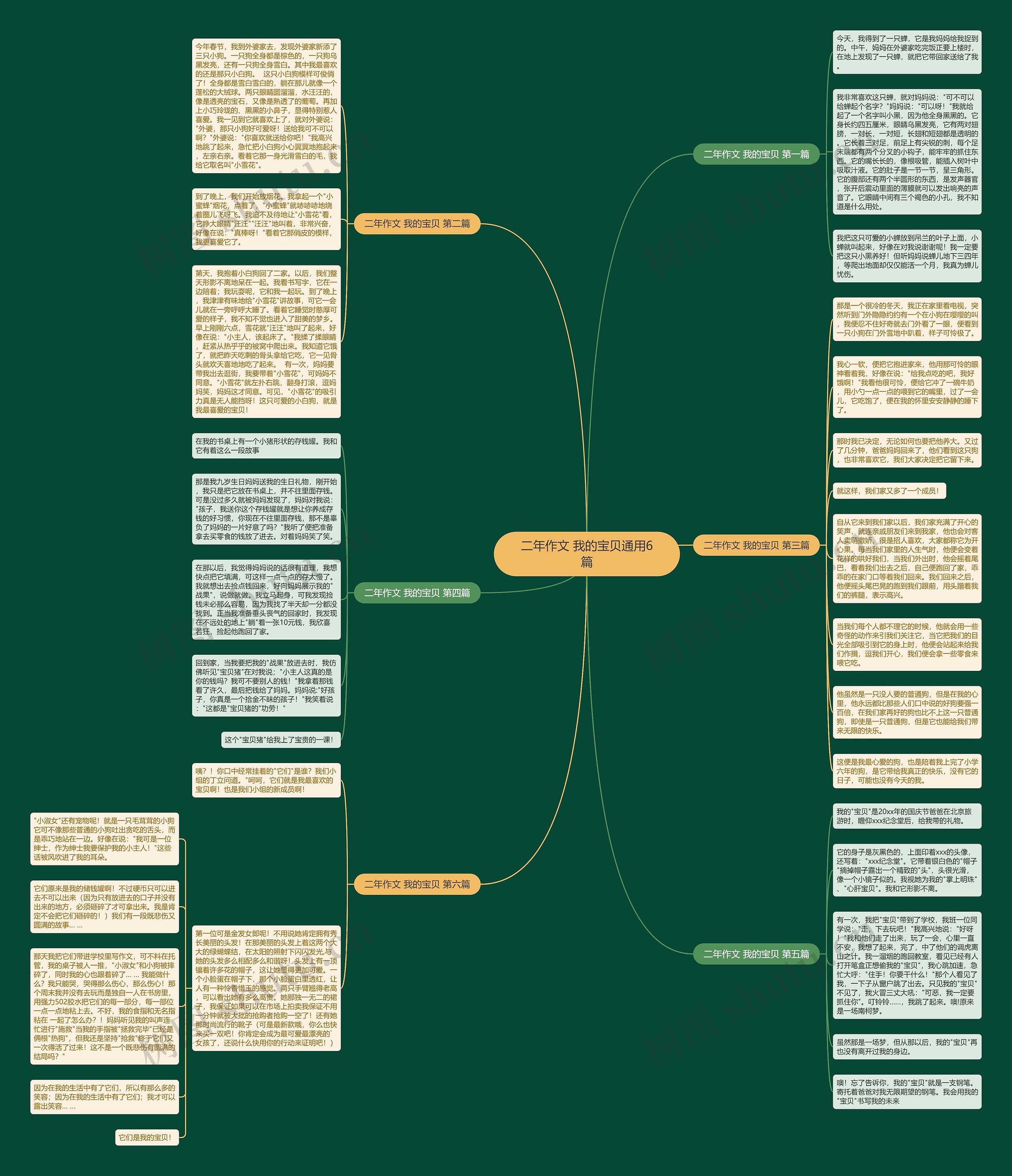 二年作文 我的宝贝通用6篇思维导图