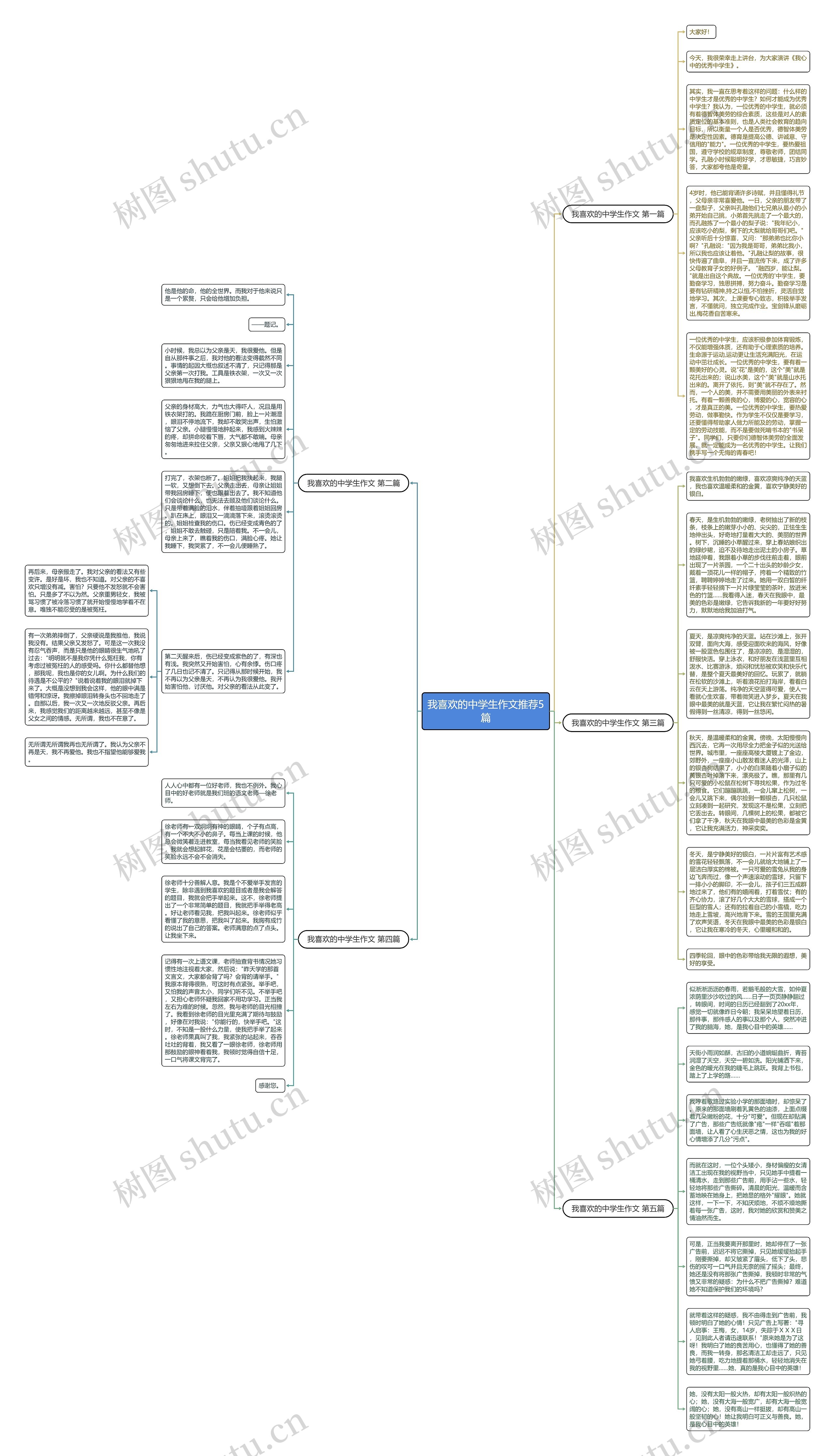 我喜欢的中学生作文推荐5篇思维导图