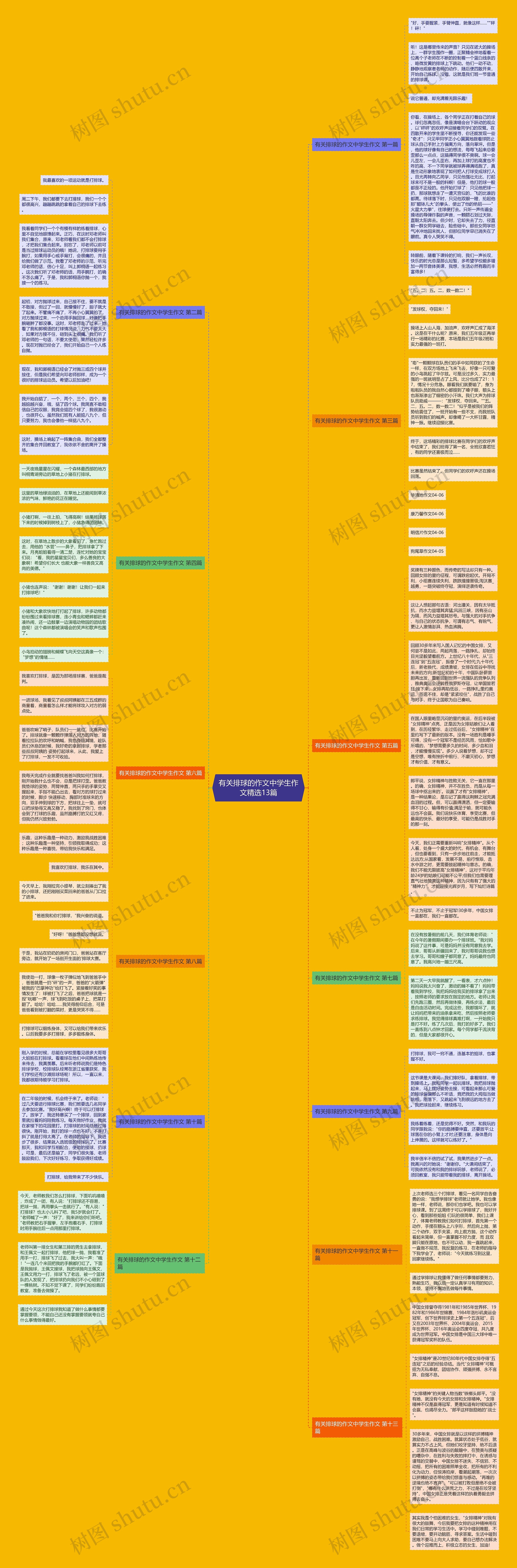 有关排球的作文中学生作文精选13篇思维导图