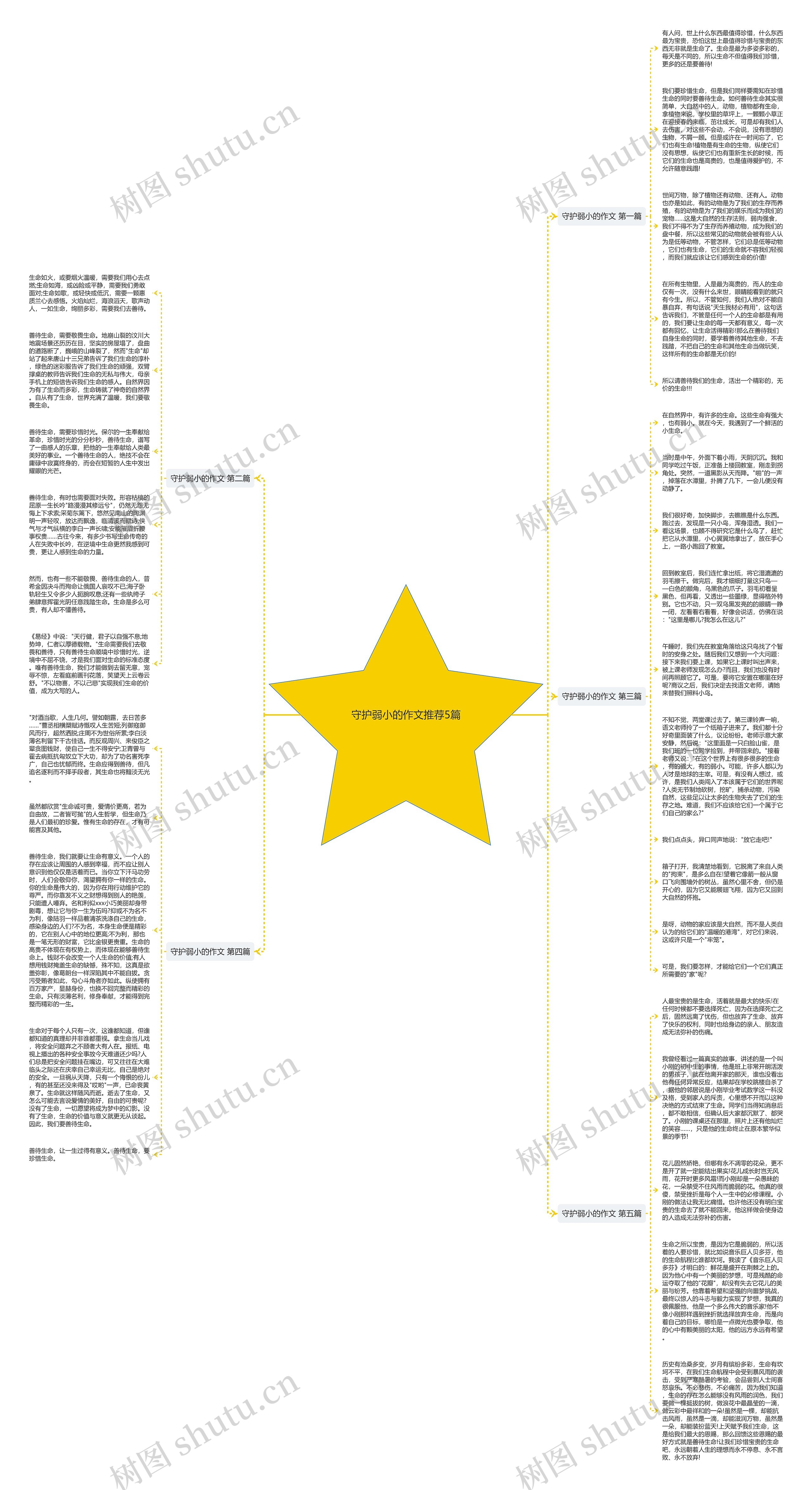 守护弱小的作文推荐5篇思维导图