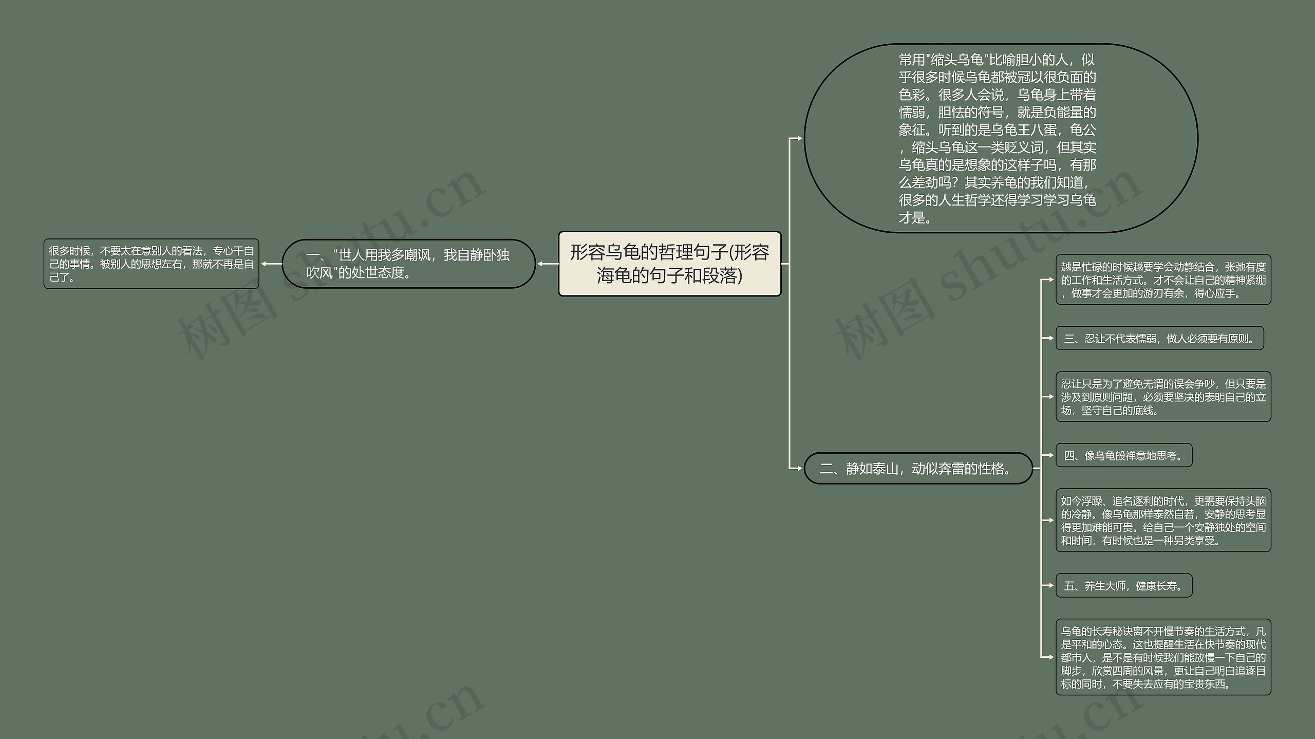 形容乌龟的哲理句子(形容海龟的句子和段落)