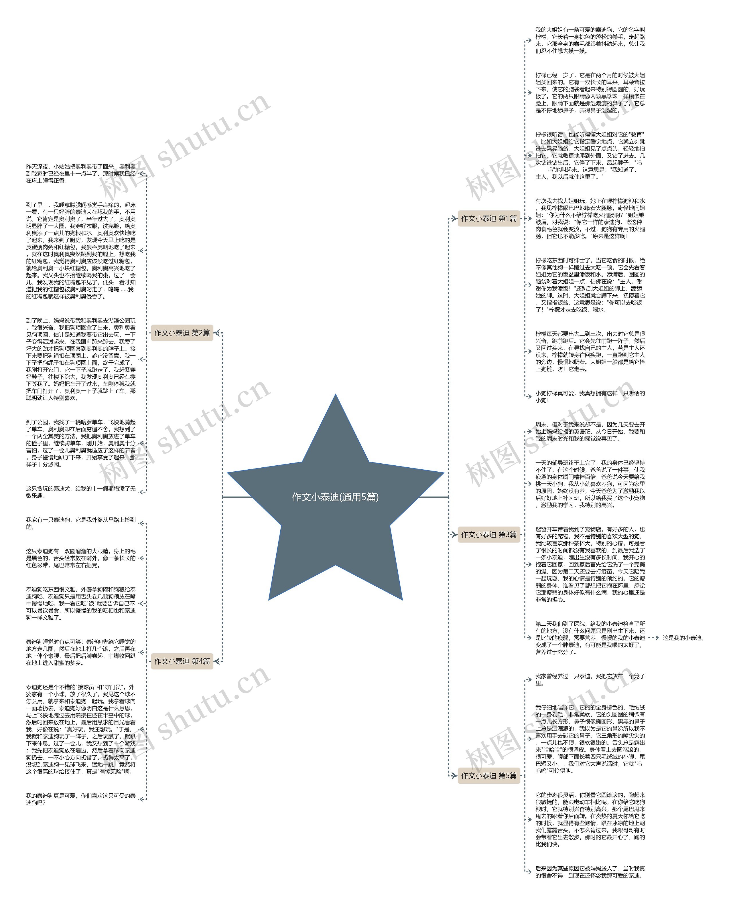 作文小泰迪(通用5篇)思维导图