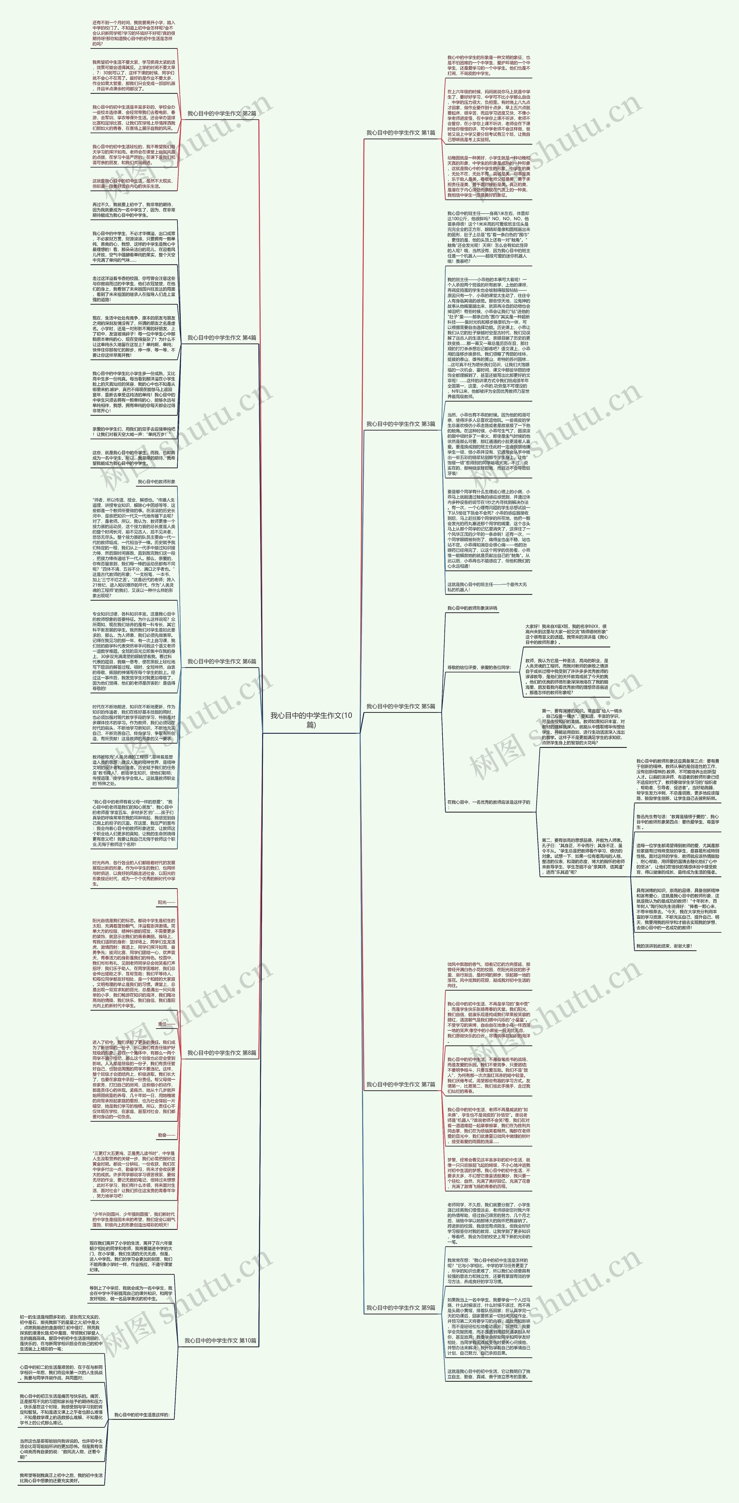 我心目中的中学生作文(10篇)思维导图