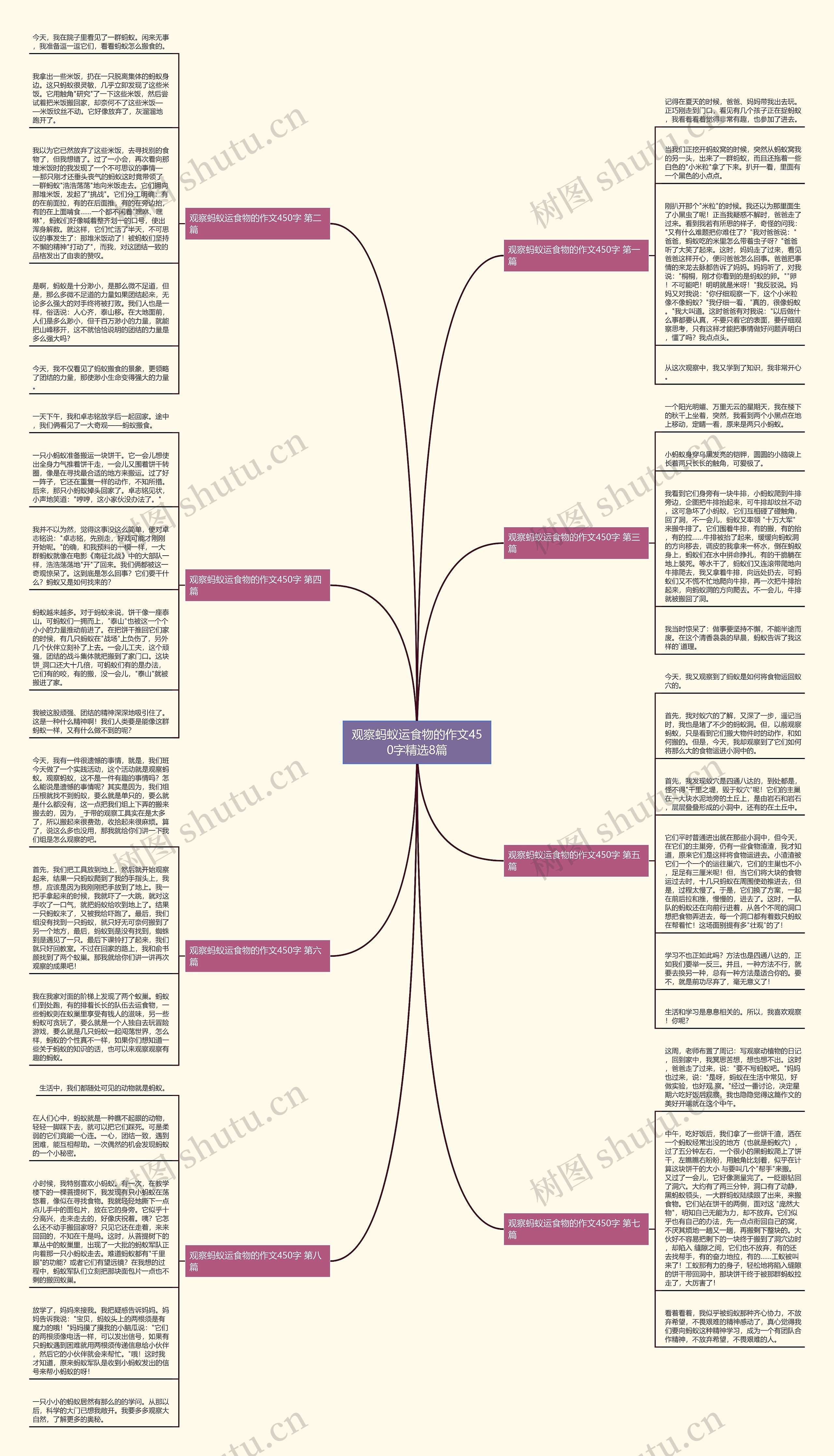 观察蚂蚁运食物的作文450字精选8篇思维导图