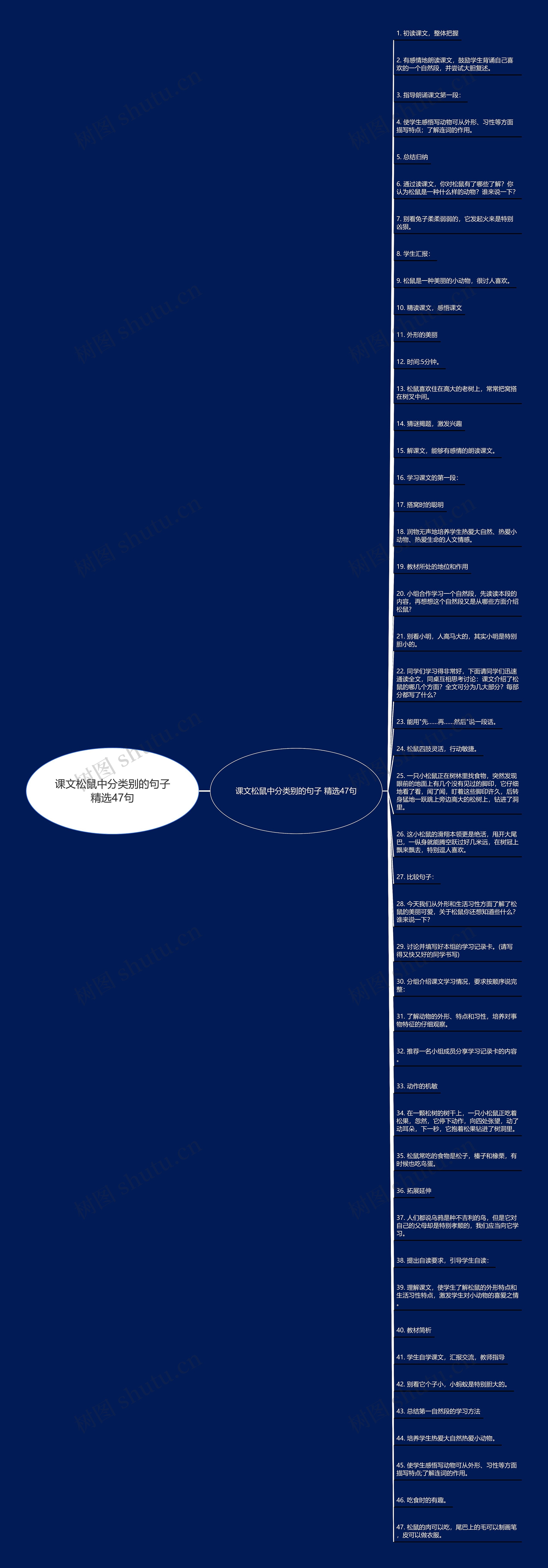 课文松鼠中分类别的句子精选47句思维导图