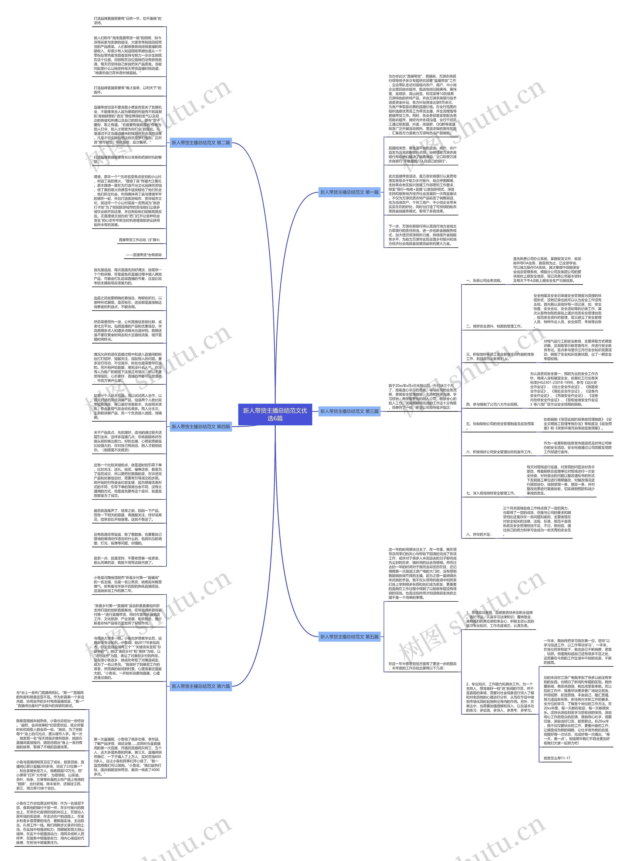新人带货主播总结范文优选6篇思维导图