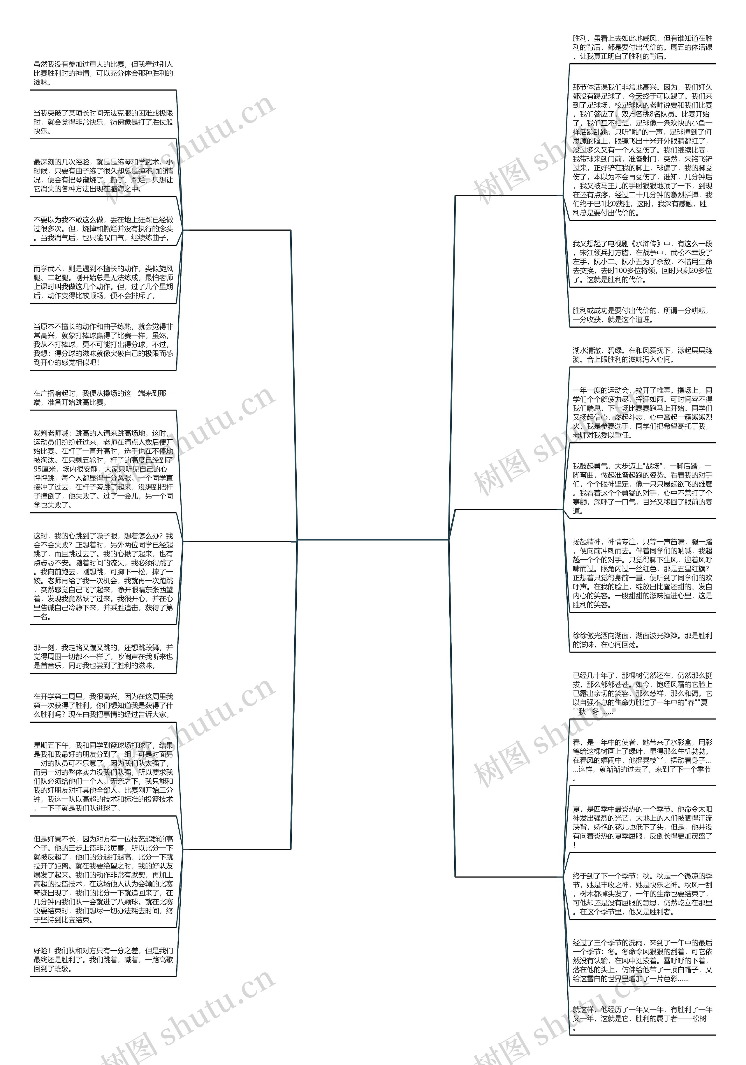 比赛的胜利作文精选6篇思维导图