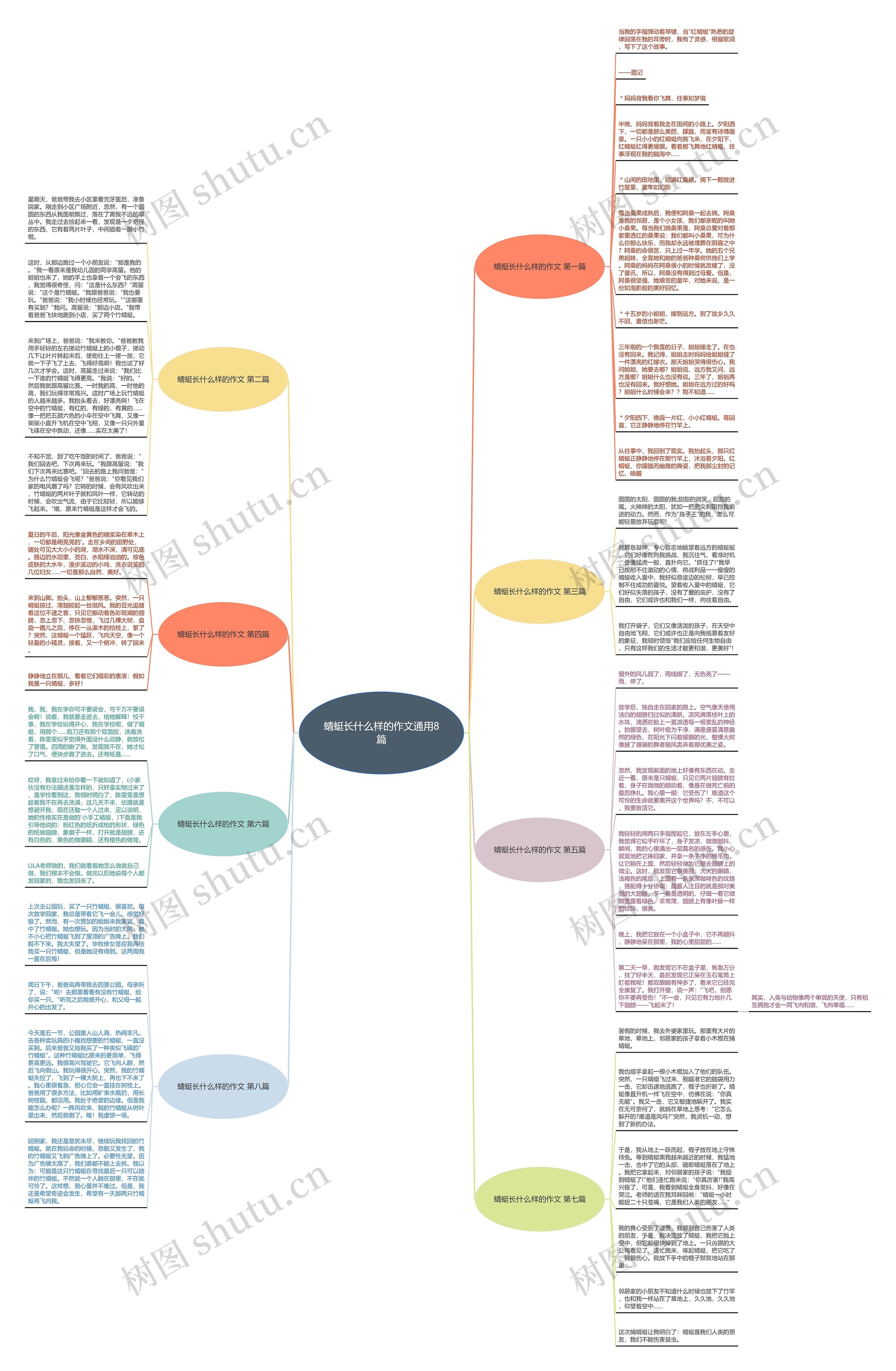 蜻蜓长什么样的作文通用8篇思维导图