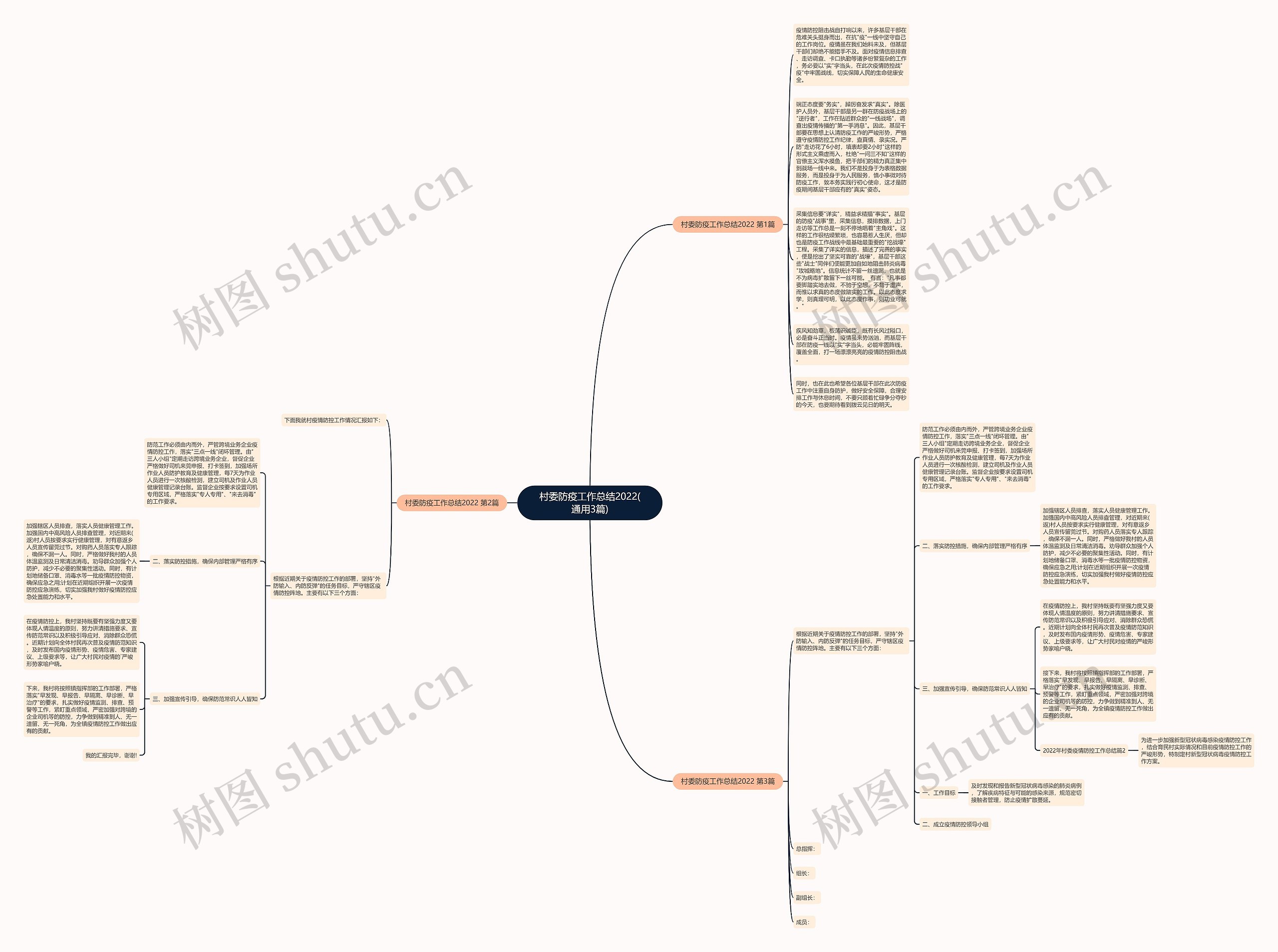 村委防疫工作总结2022(通用3篇)思维导图