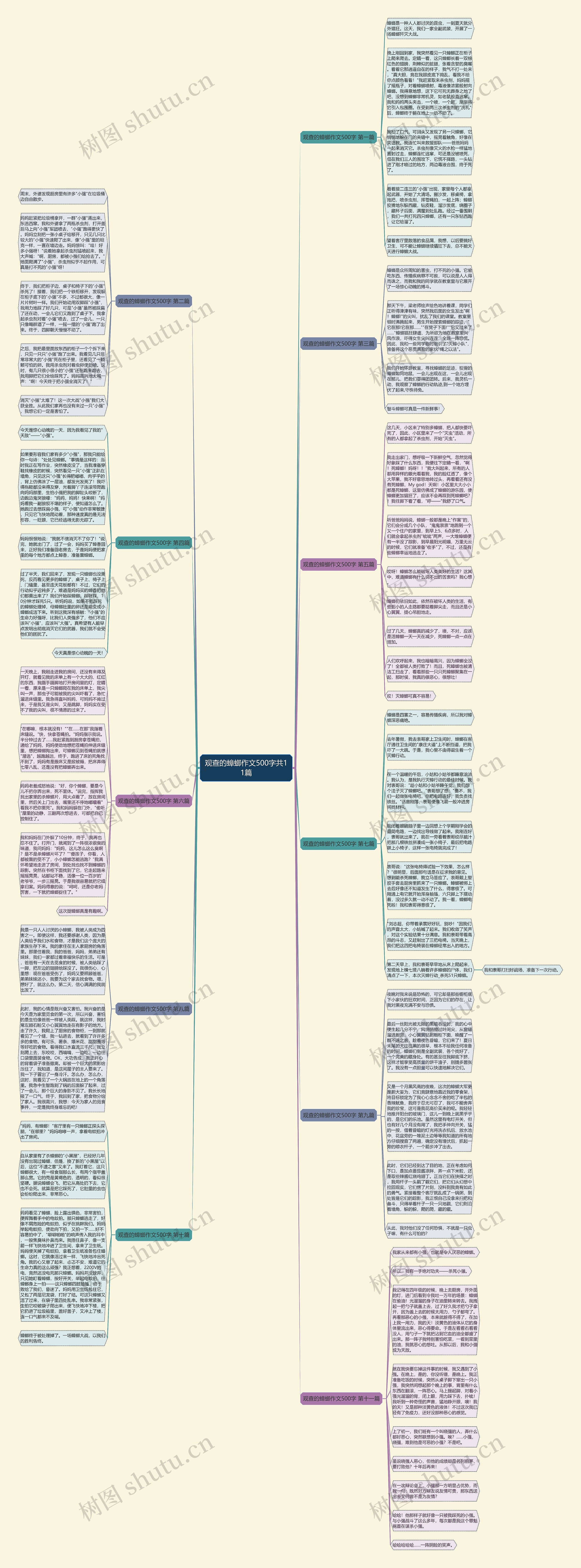 观查的蟑螂作文500字共11篇思维导图