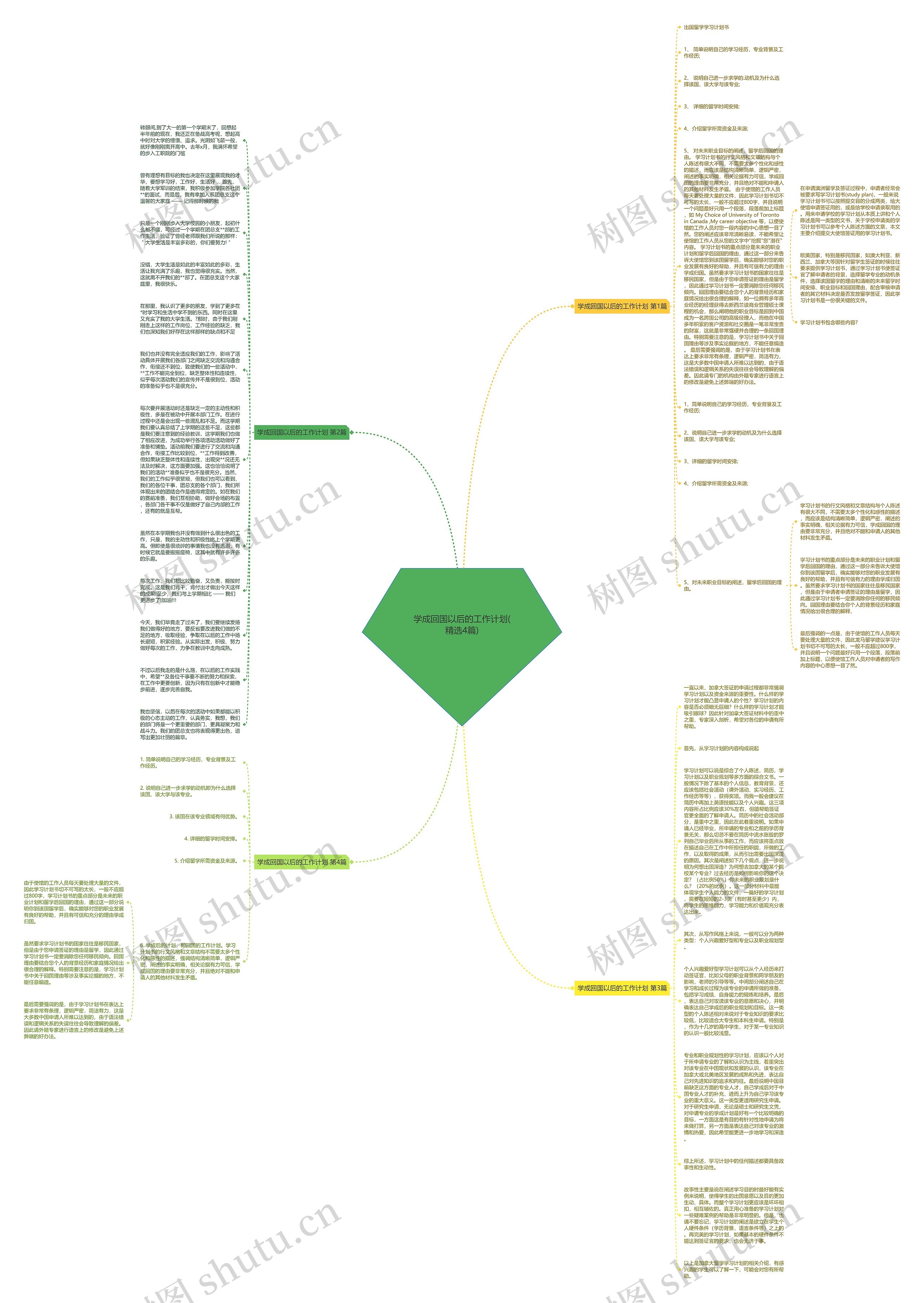 学成回国以后的工作计划(精选4篇)思维导图