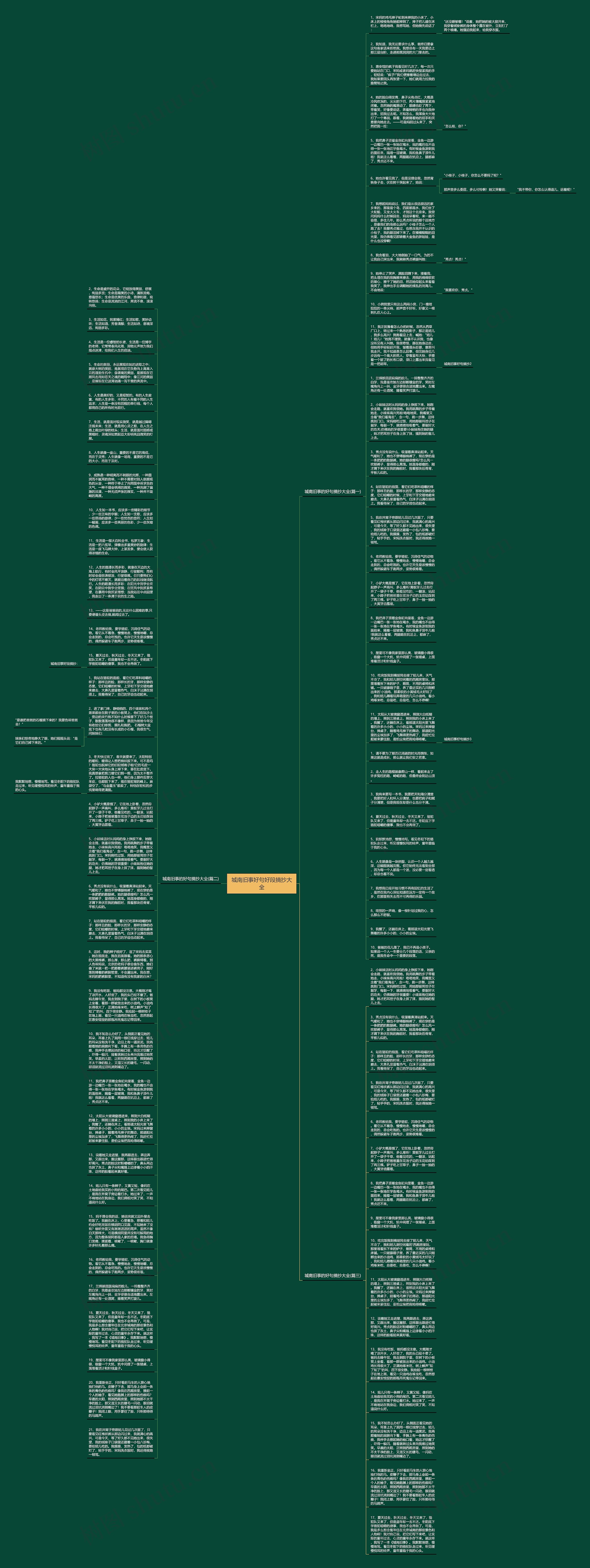 城南旧事好句好段摘抄大全思维导图