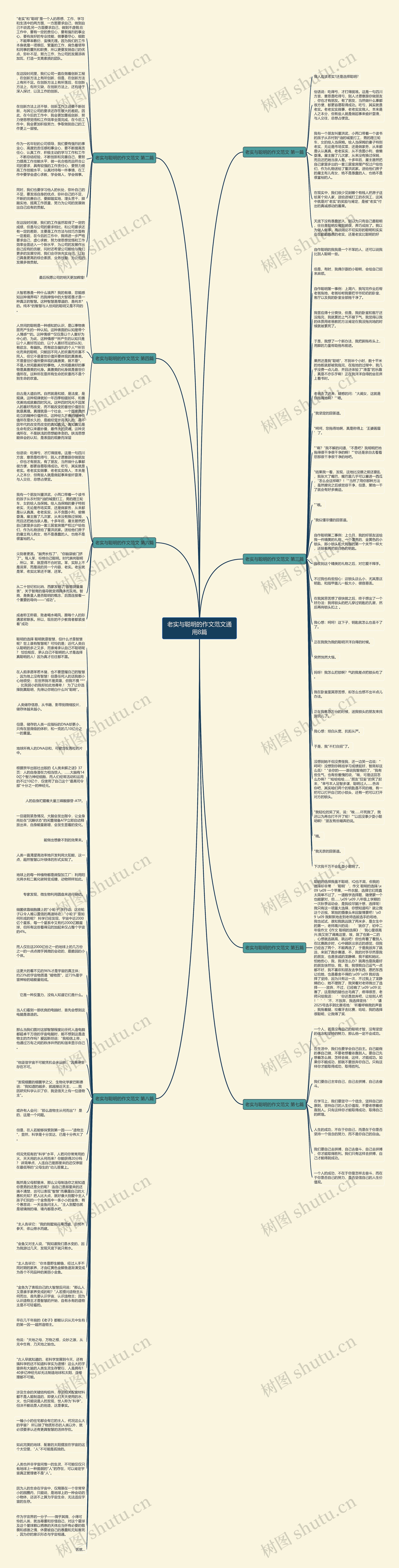 老实与聪明的作文范文通用8篇思维导图