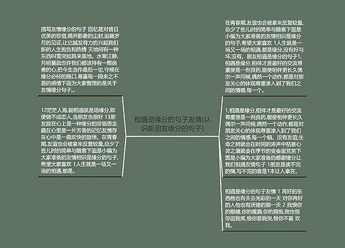 相遇是缘分的句子友情(认识新朋友缘分的句子)