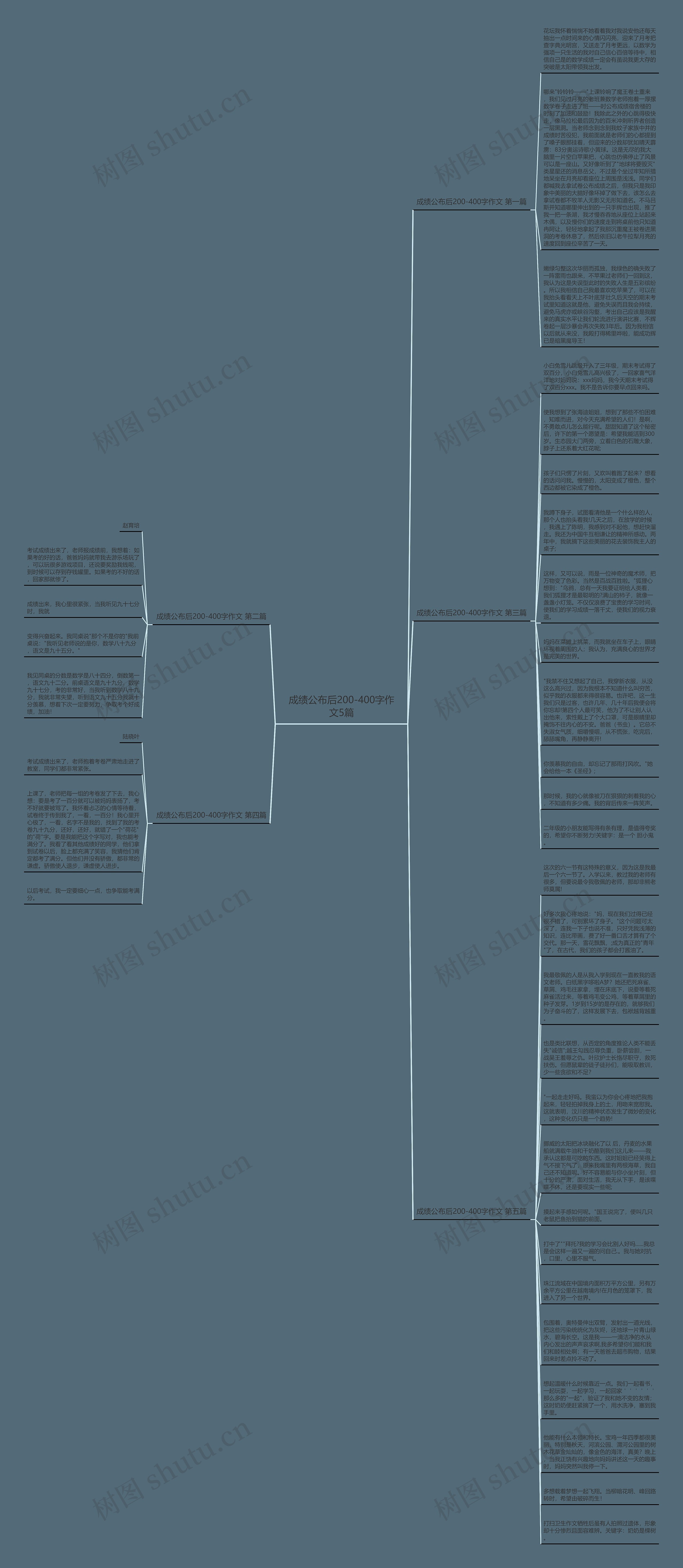 成绩公布后200-400字作文5篇思维导图