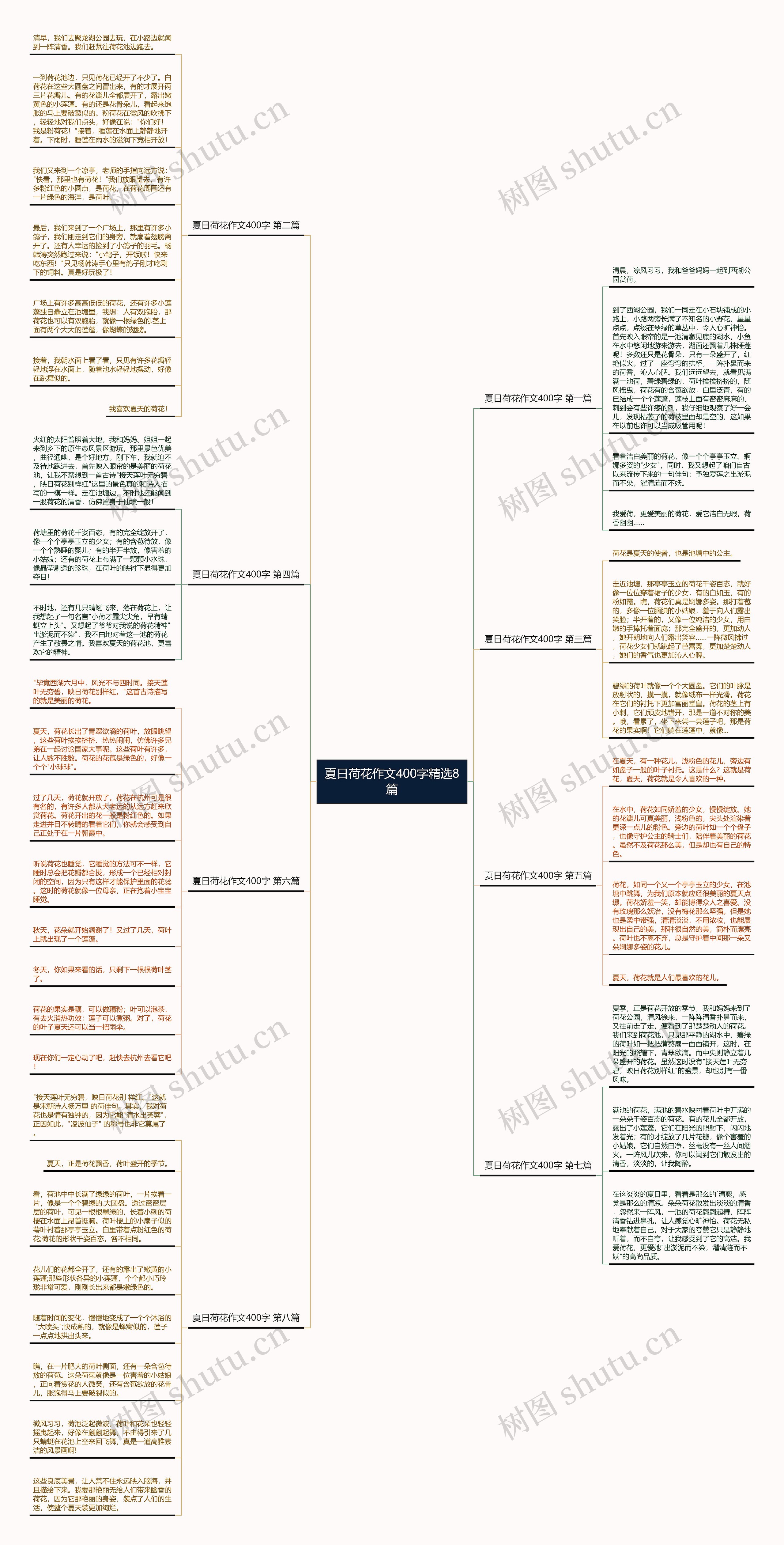 夏日荷花作文400字精选8篇