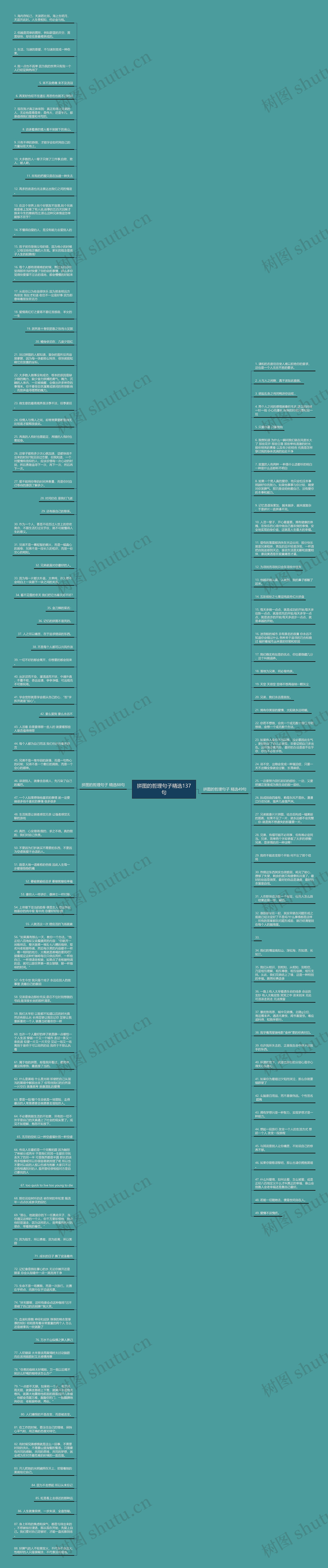 拼图的哲理句子精选137句思维导图