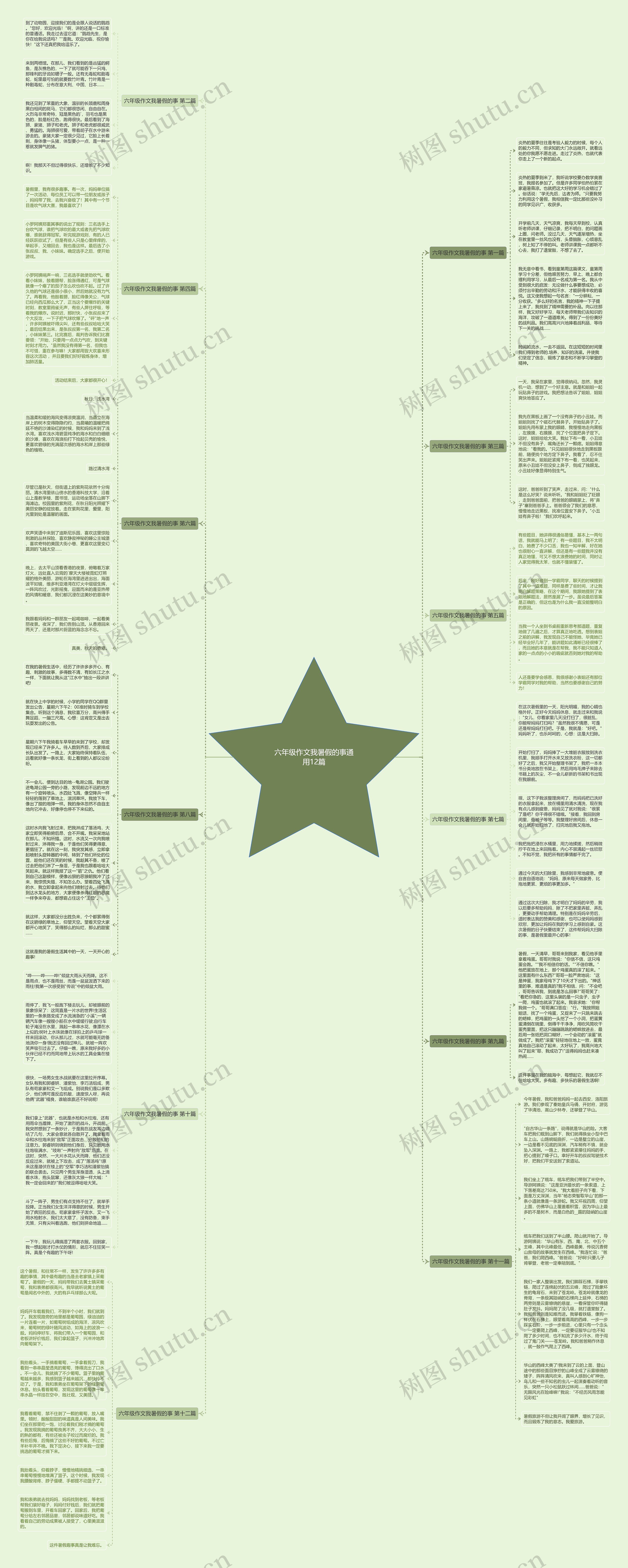 六年级作文我暑假的事通用12篇思维导图