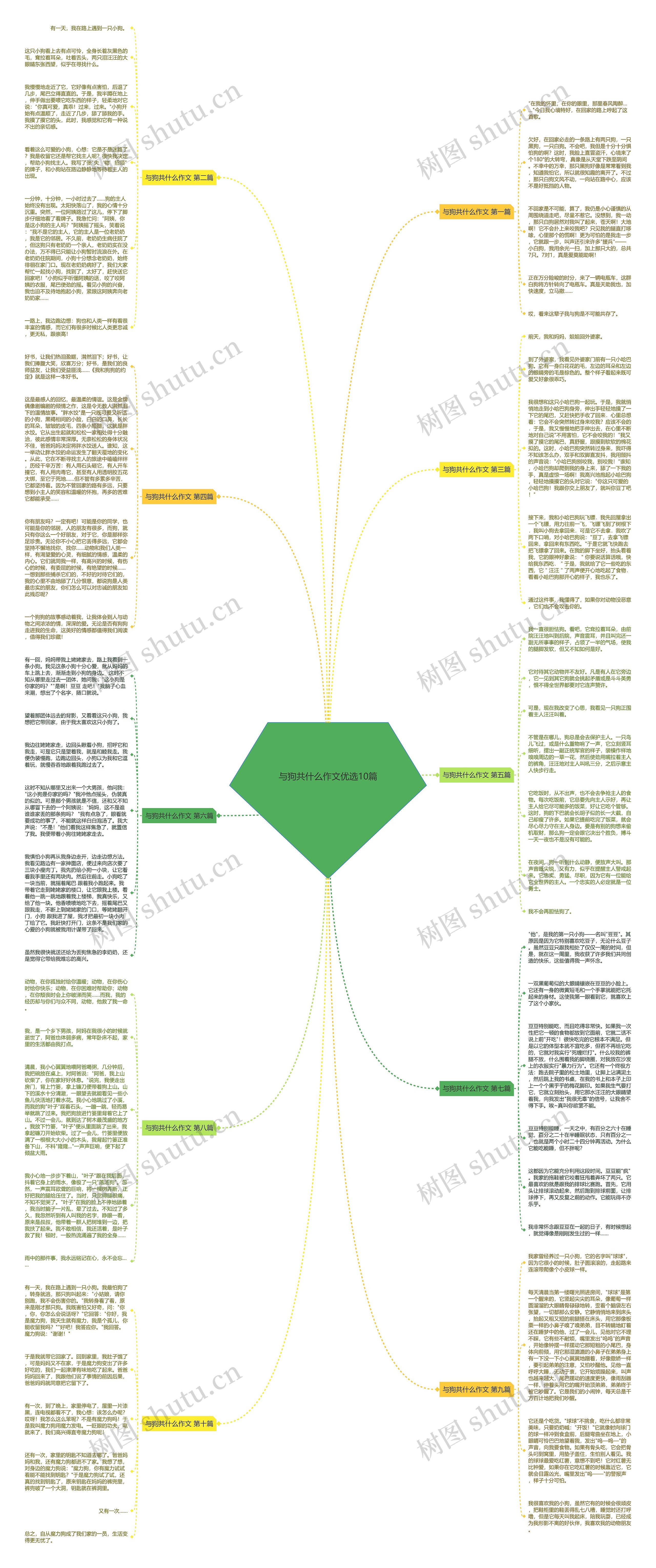 与狗共什么作文优选10篇思维导图
