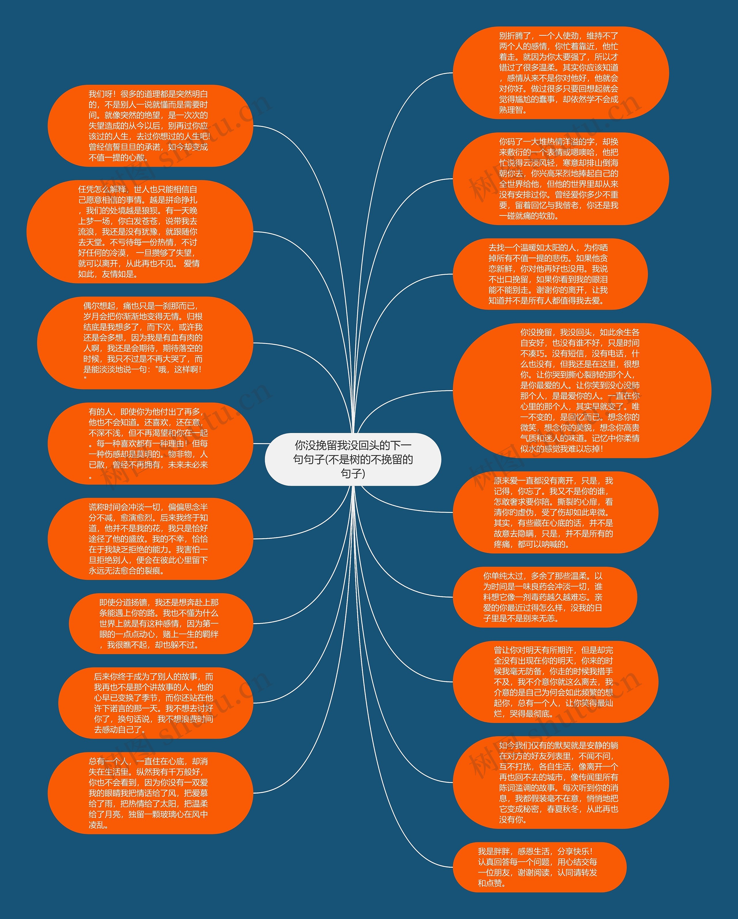 你没挽留我没回头的下一句句子(不是树的不挽留的句子)思维导图