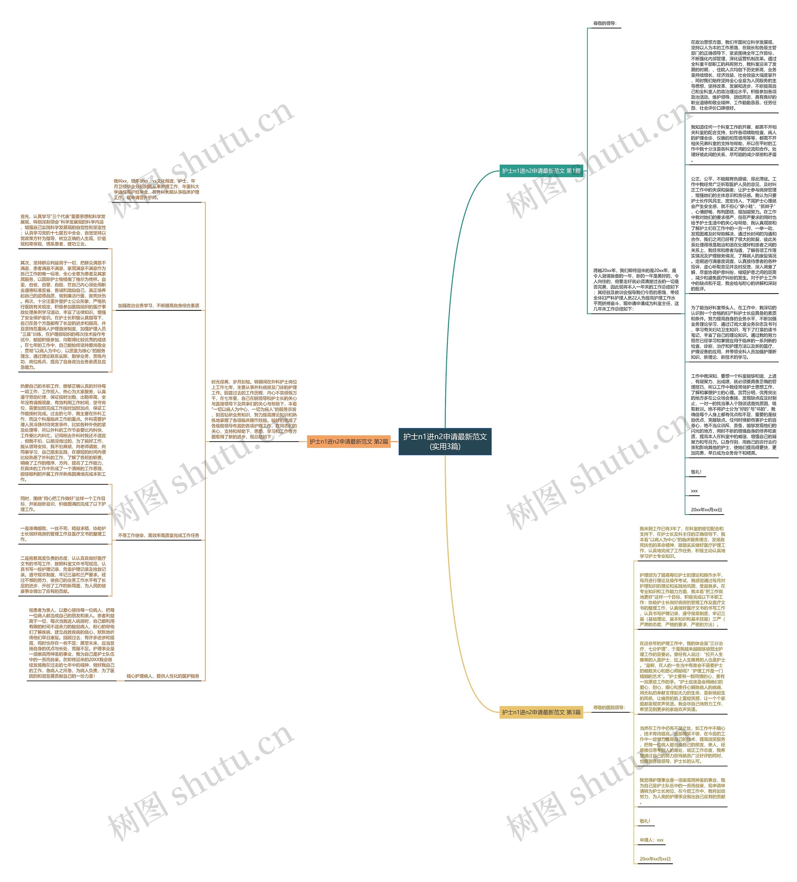 护士n1进n2申请最新范文(实用3篇)思维导图