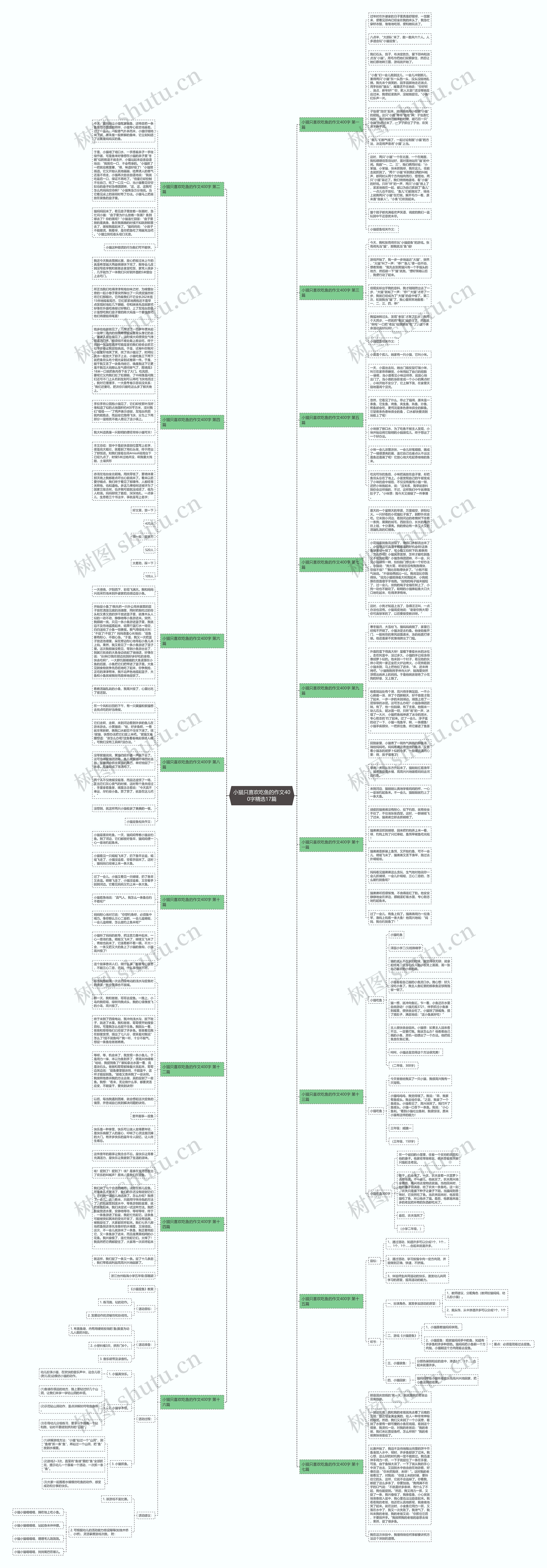 小猫只喜欢吃鱼的作文400字精选17篇思维导图