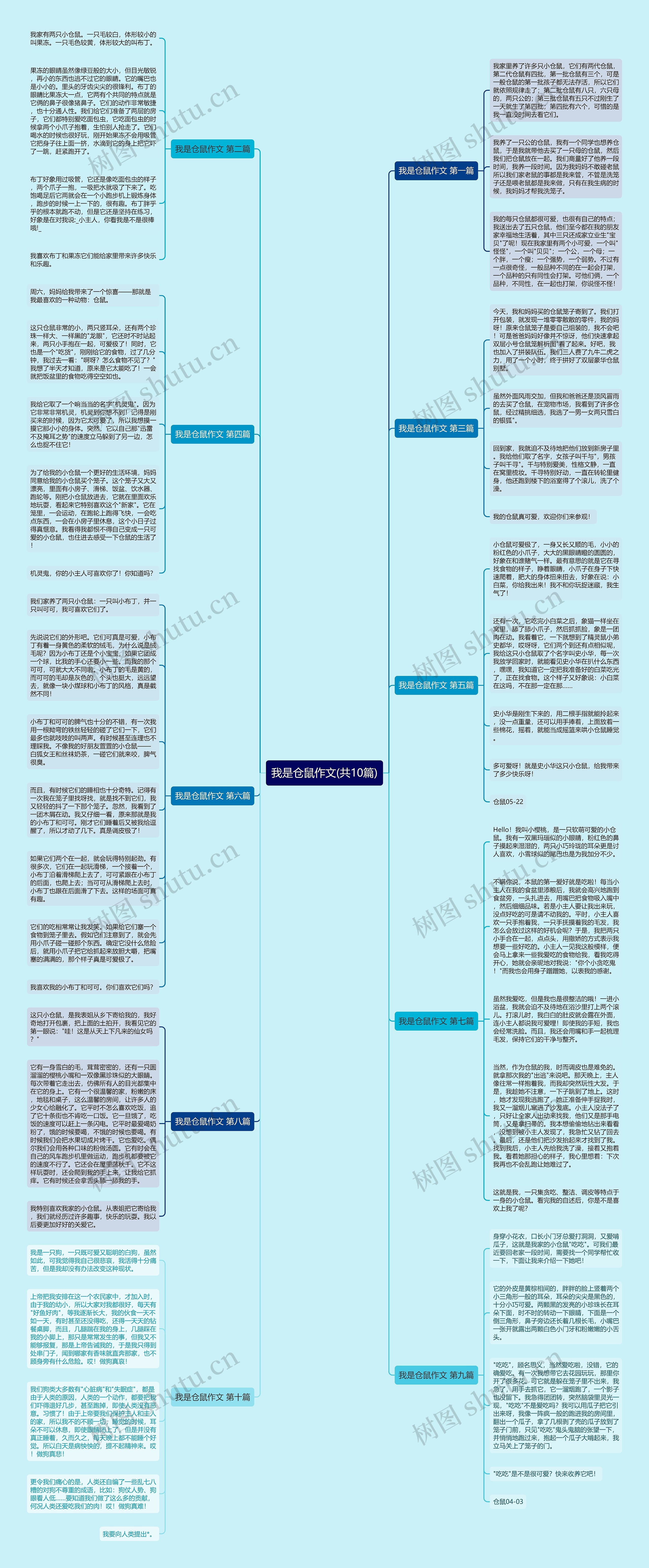 我是仓鼠作文(共10篇)思维导图