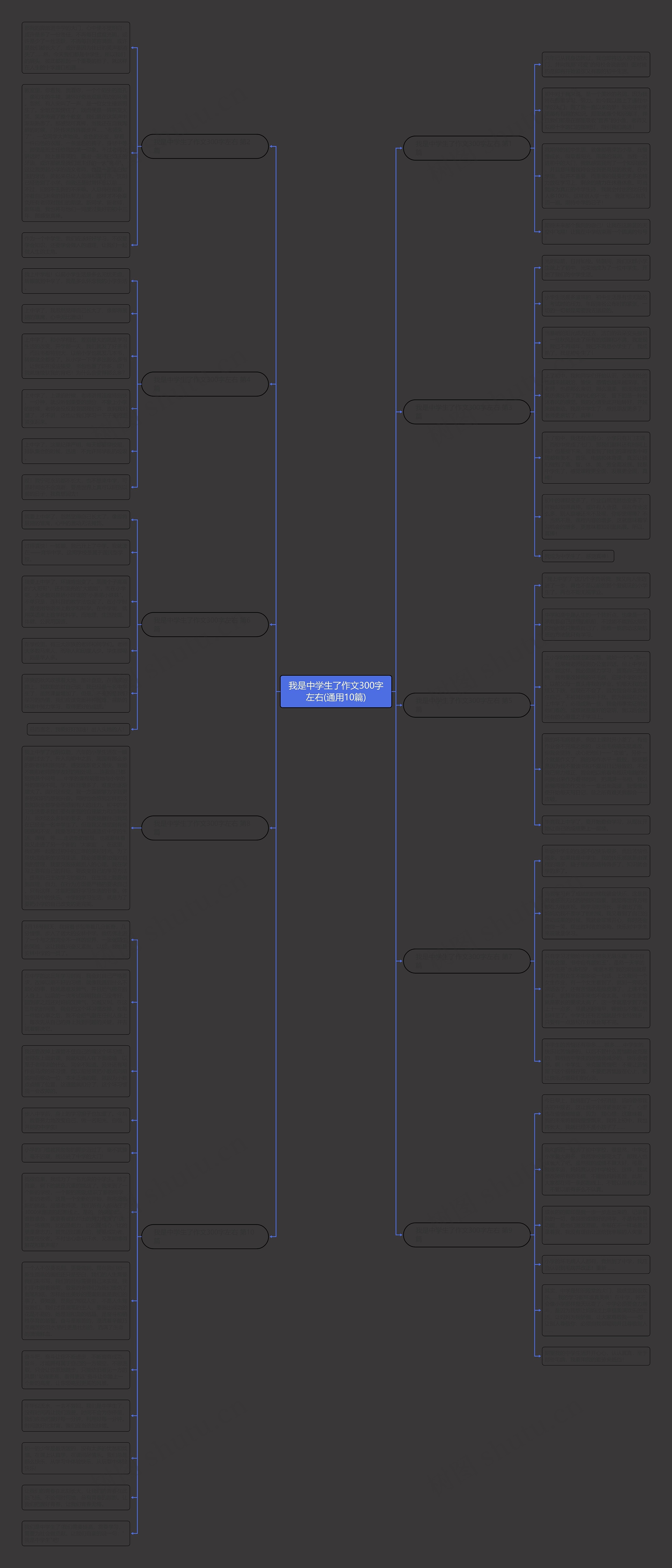 我是中学生了作文300字左右(通用10篇)