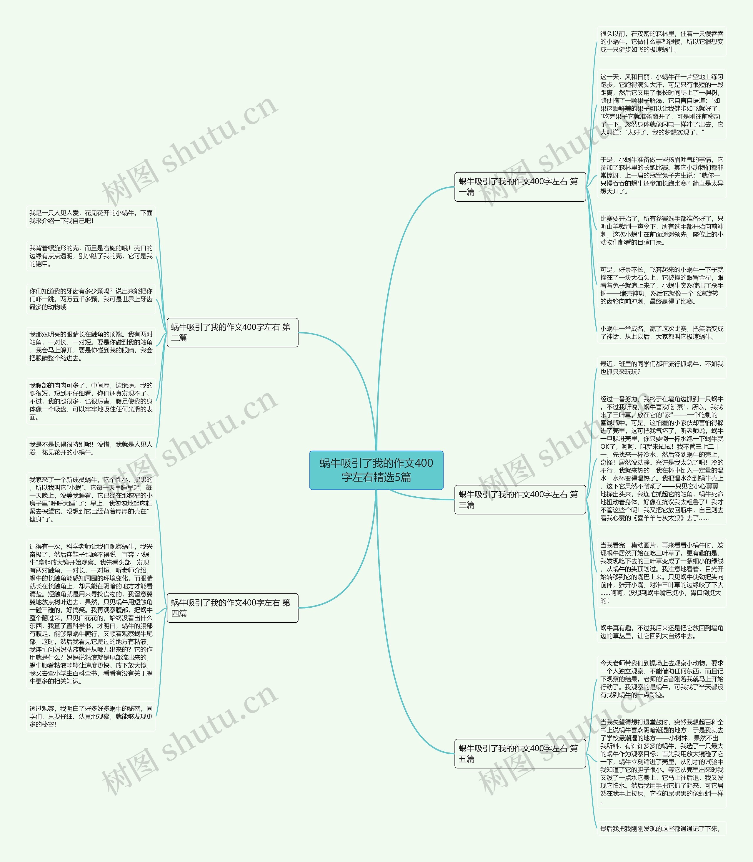 蜗牛吸引了我的作文400字左右精选5篇思维导图