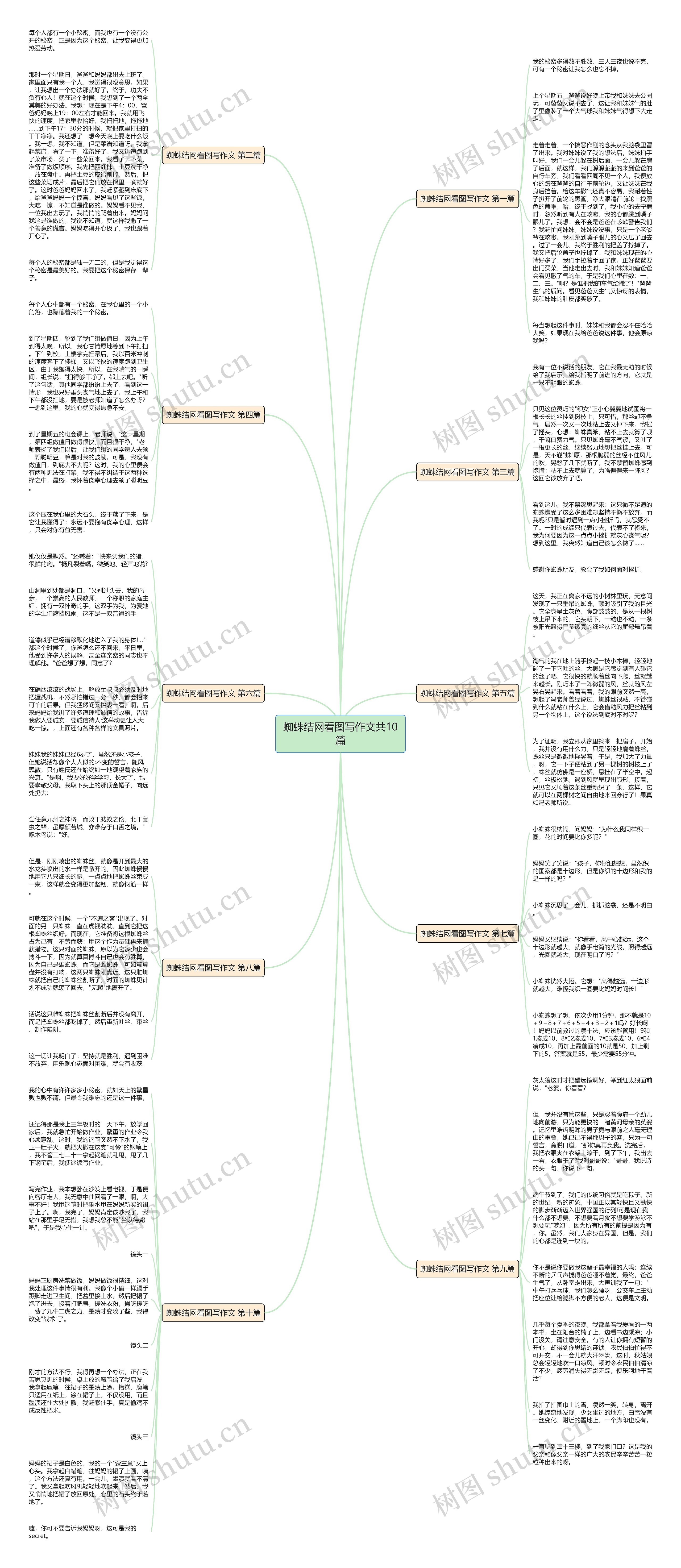 蜘蛛结网看图写作文共10篇思维导图