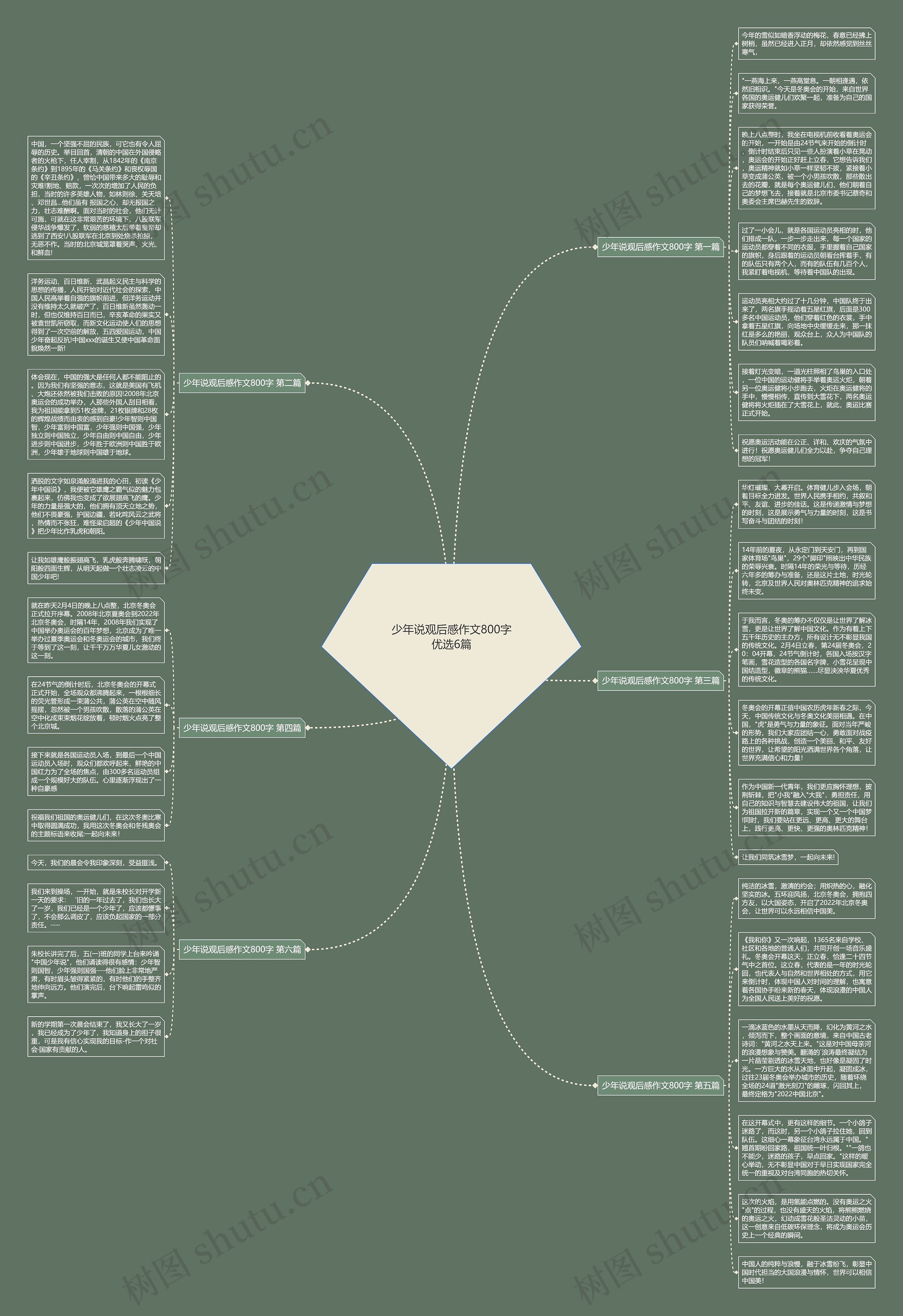 少年说观后感作文800字优选6篇思维导图