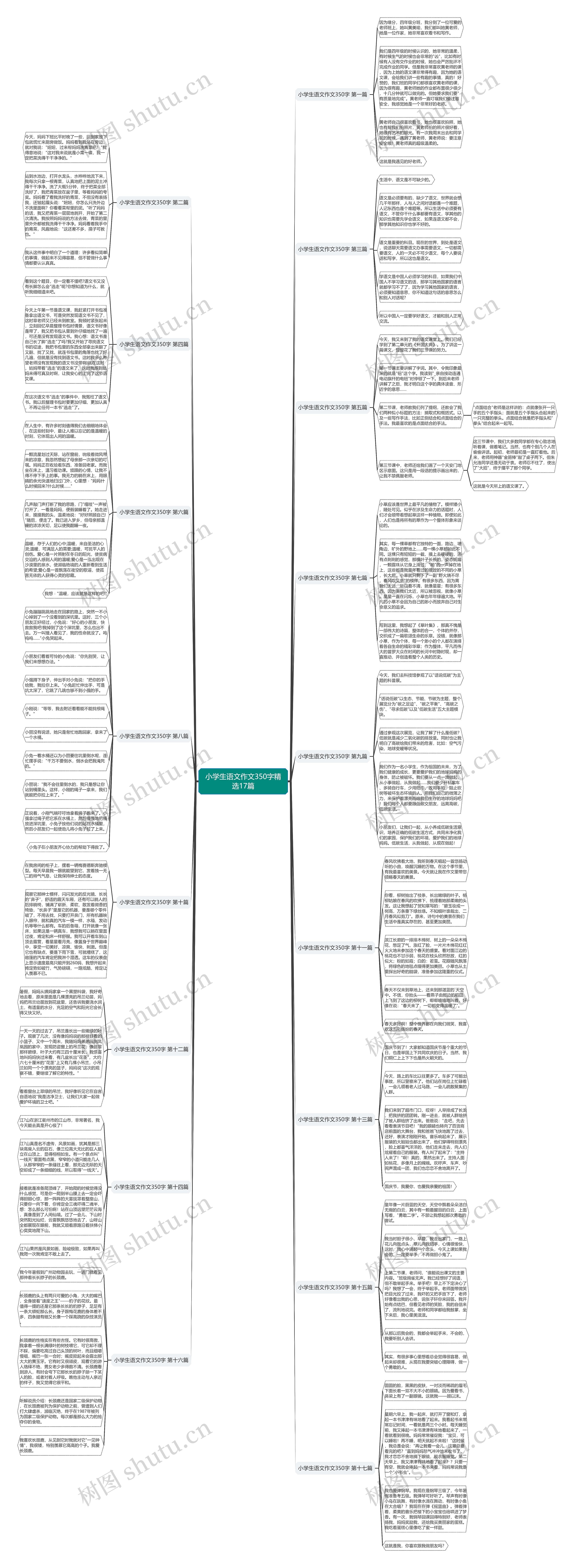 小学生语文作文350字精选17篇思维导图