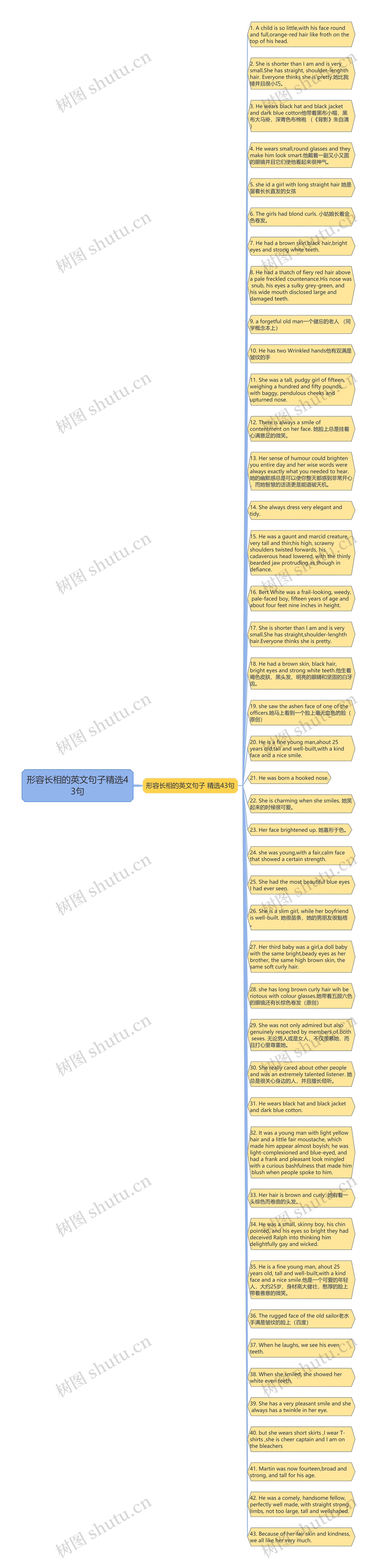 形容长相的英文句子精选43句思维导图