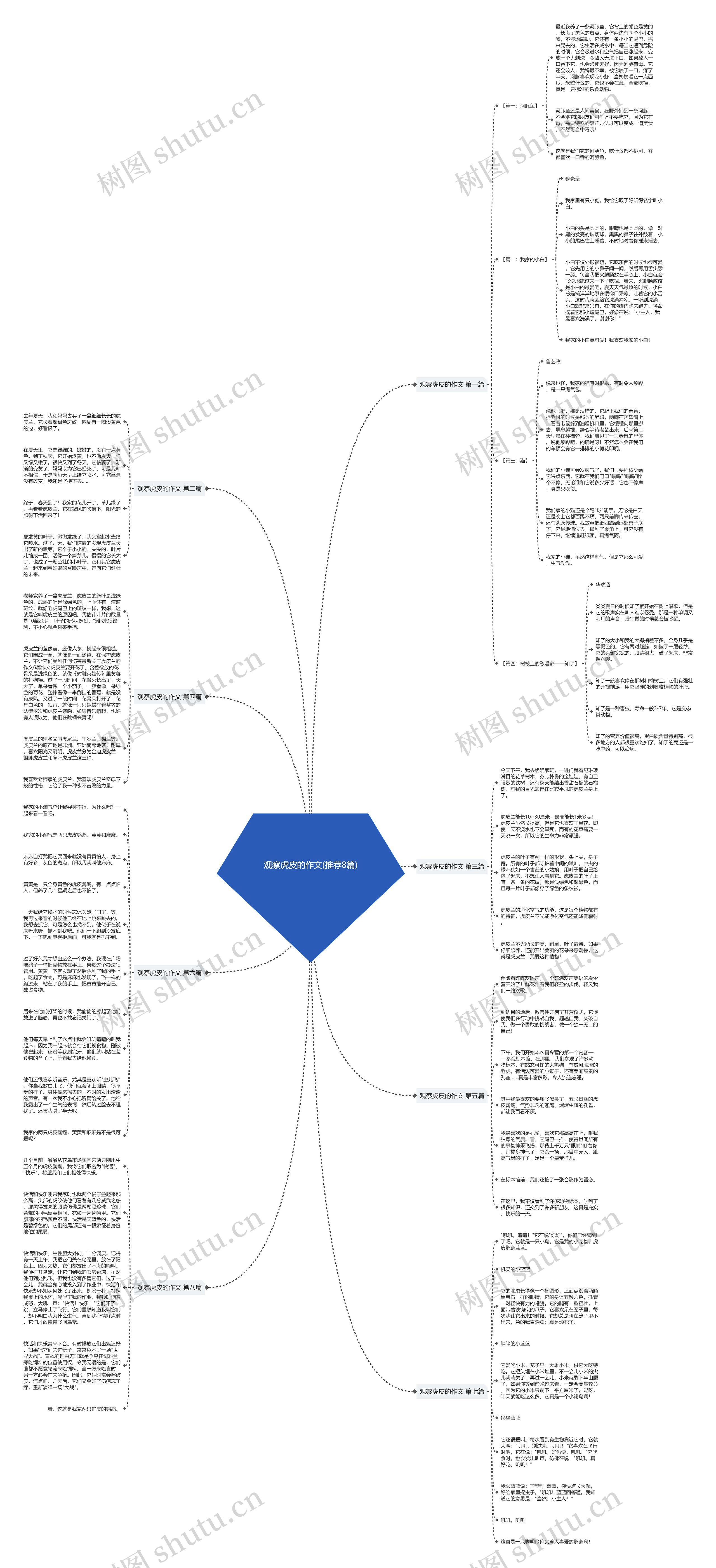 观察虎皮的作文(推荐8篇)思维导图