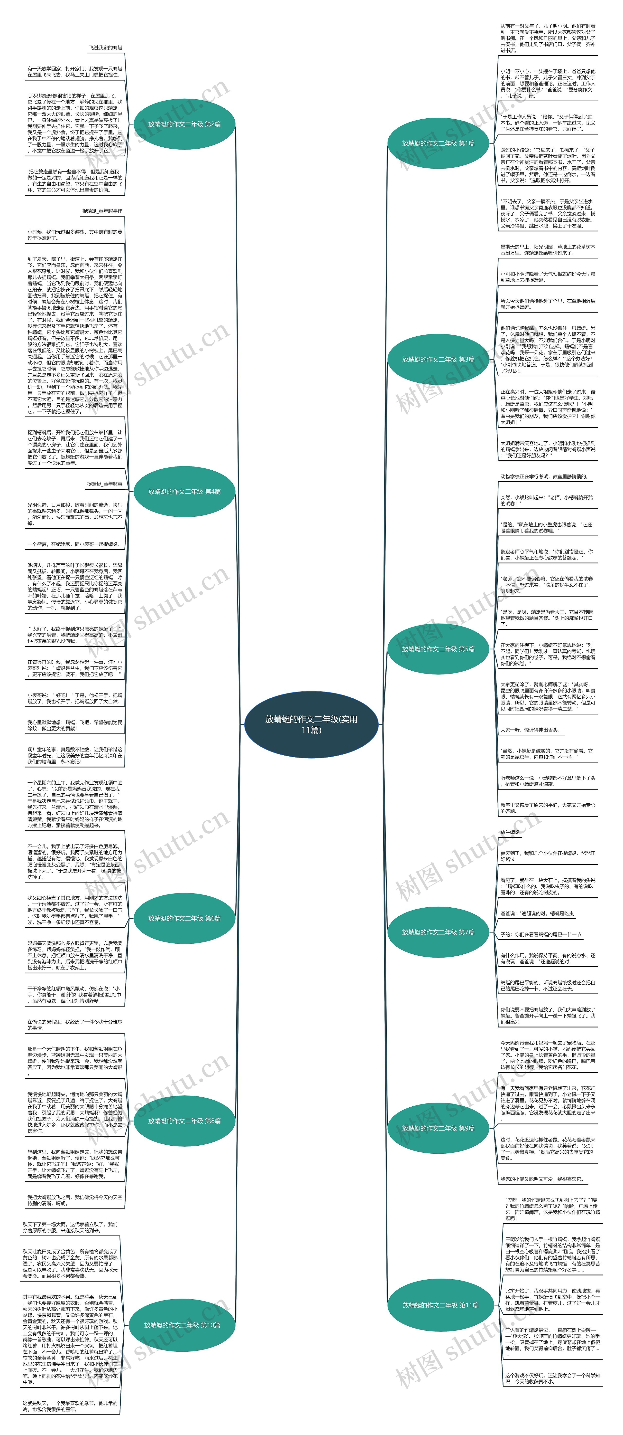 放蜻蜓的作文二年级(实用11篇)思维导图