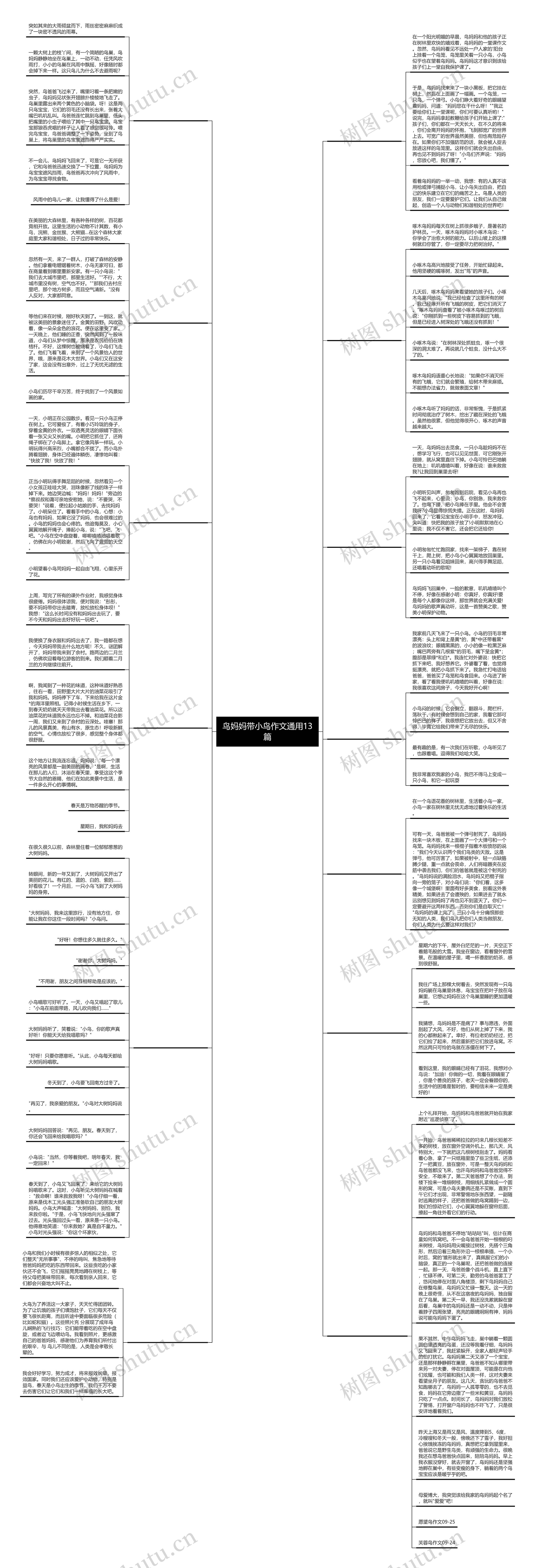 鸟妈妈带小鸟作文通用13篇思维导图