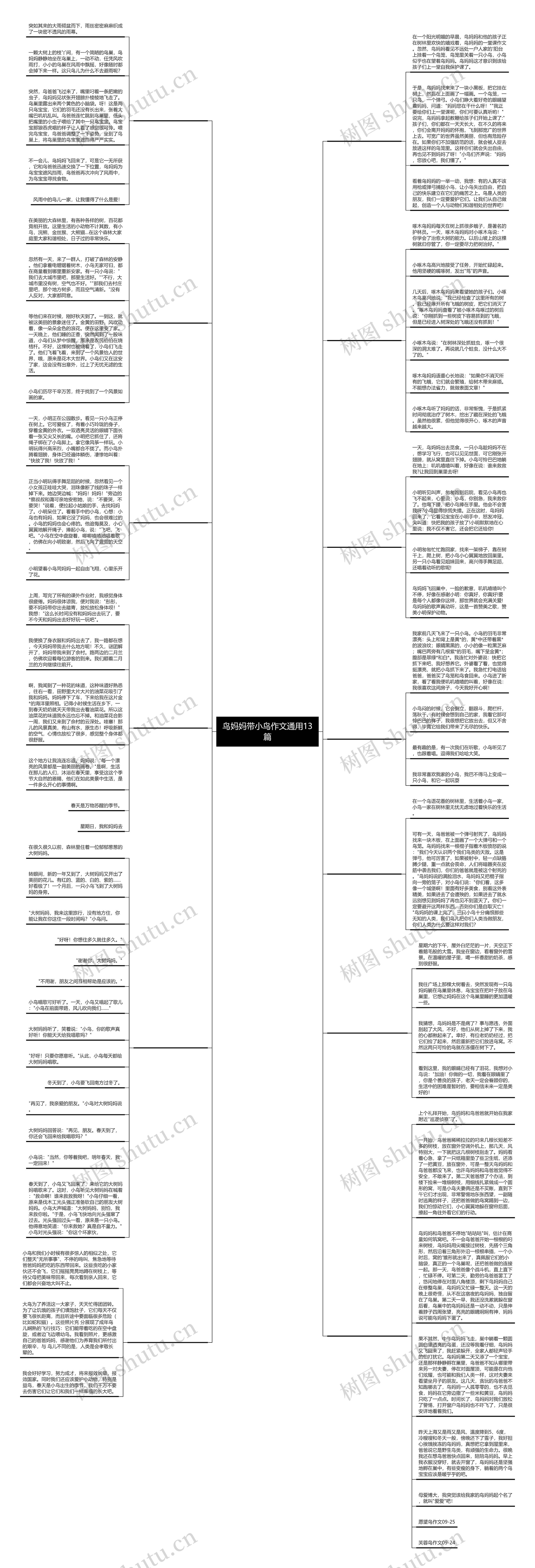 鸟妈妈带小鸟作文通用13篇 鸟妈妈带小鸟作文通用13篇
