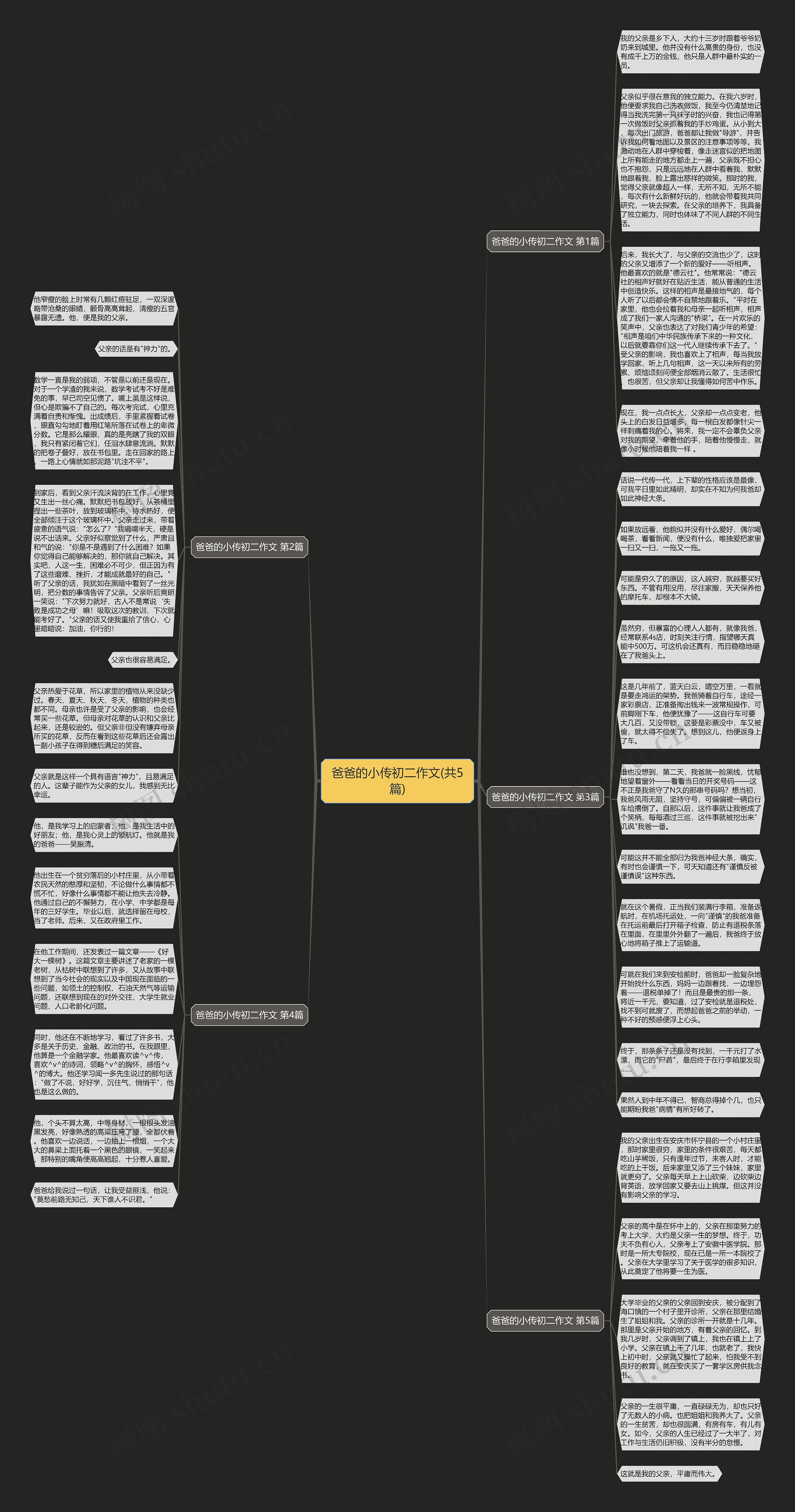 爸爸的小传初二作文(共5篇)思维导图
