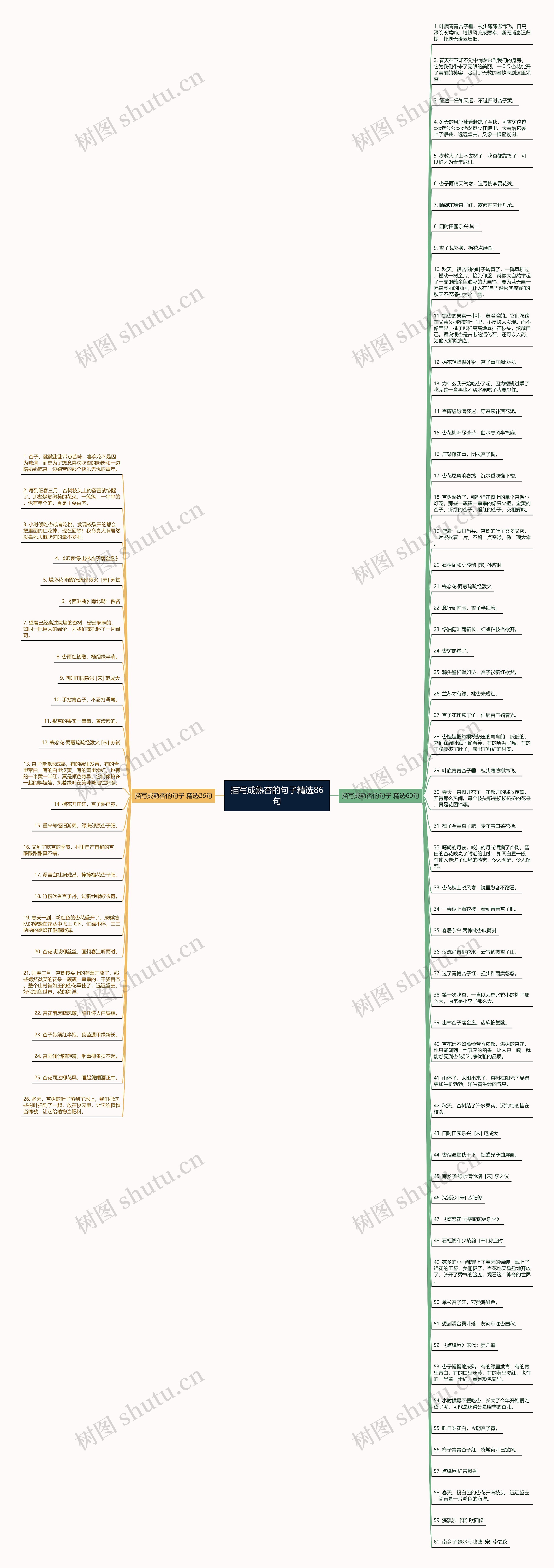 描写成熟杏的句子精选86句思维导图高清图 描写成熟杏的句子精选86句思维导图