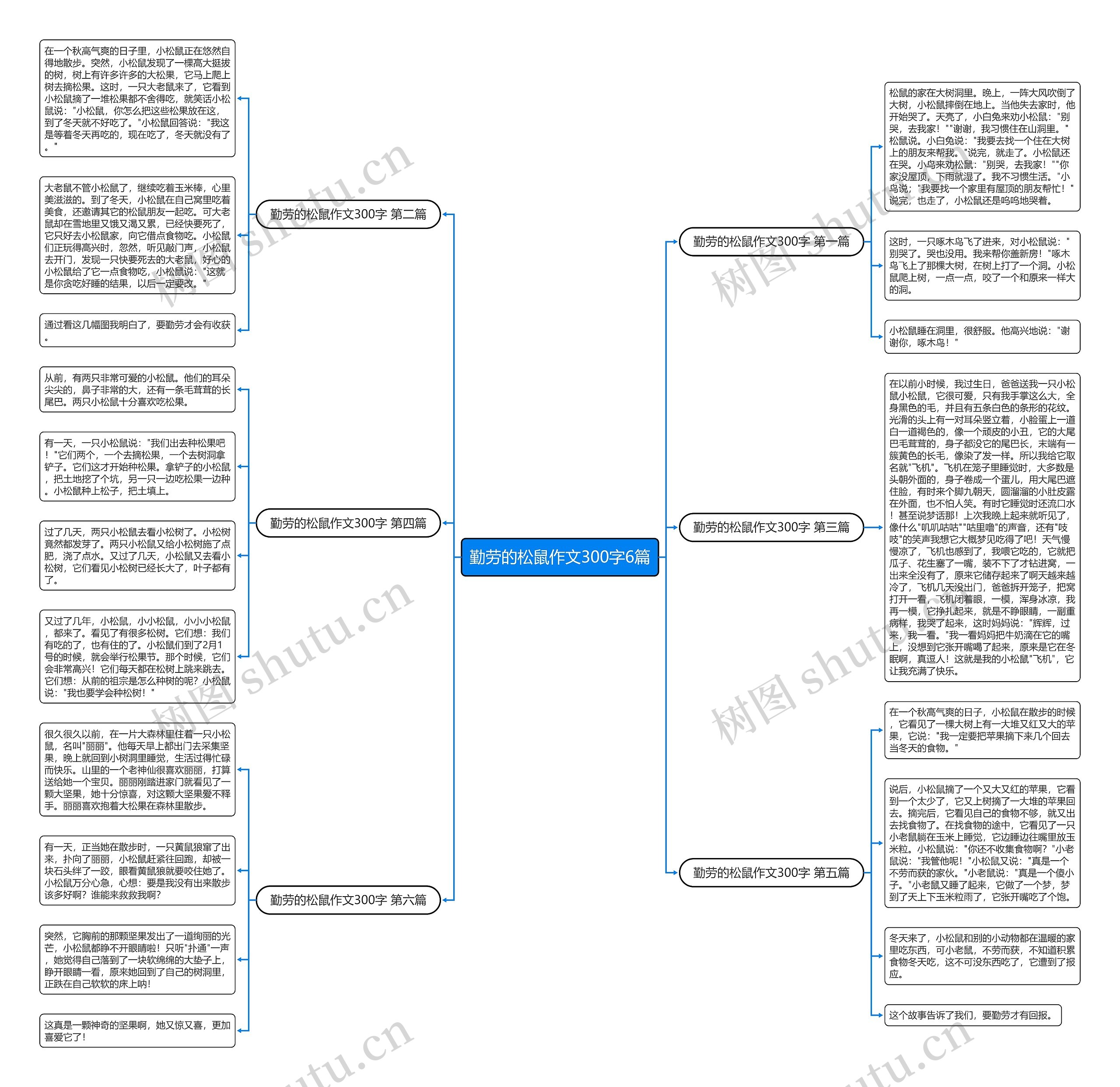 勤劳的松鼠作文300字6篇 勤劳的松鼠作文300字6篇