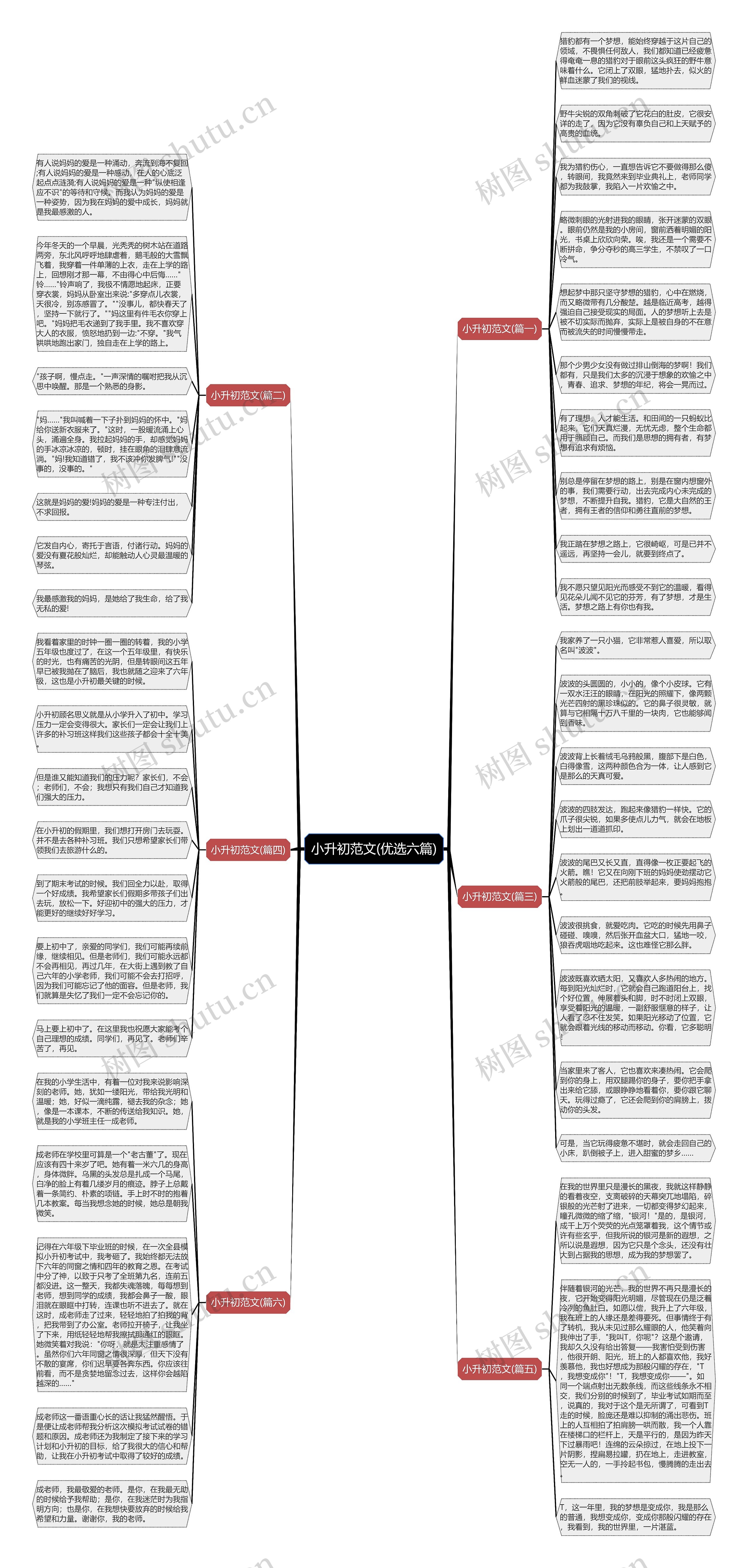 小升初范文(优选六篇)思维导图