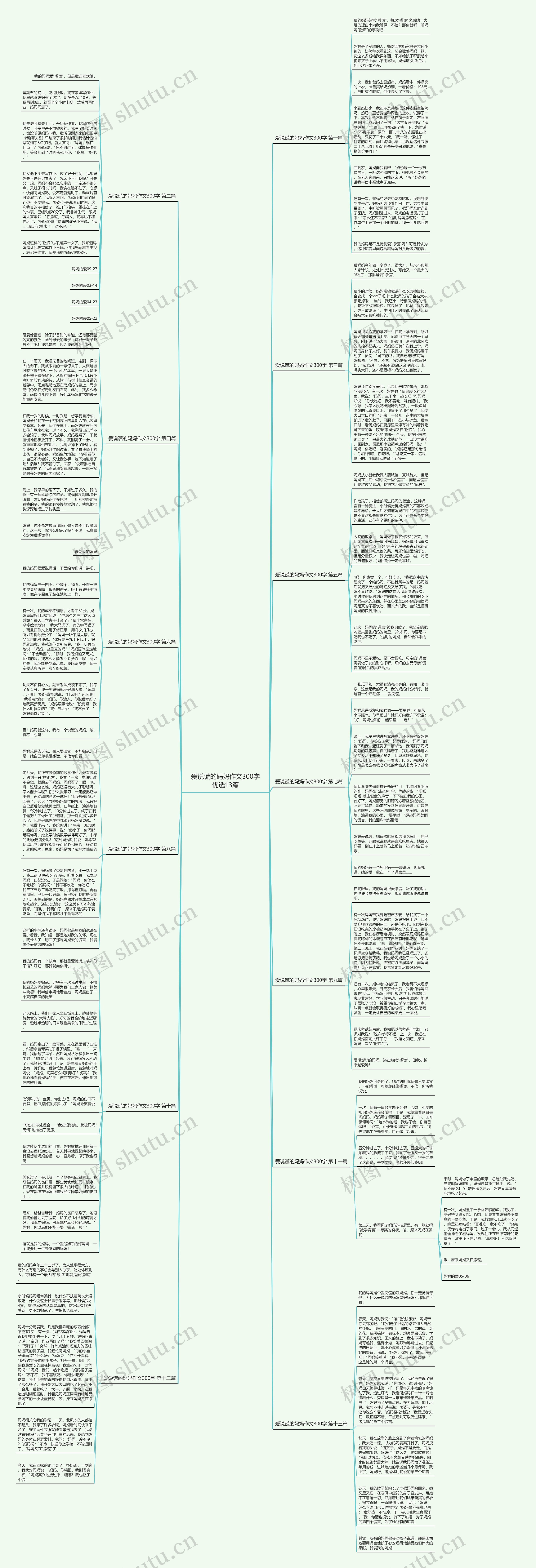 爱说谎的妈妈作文300字优选13篇思维导图