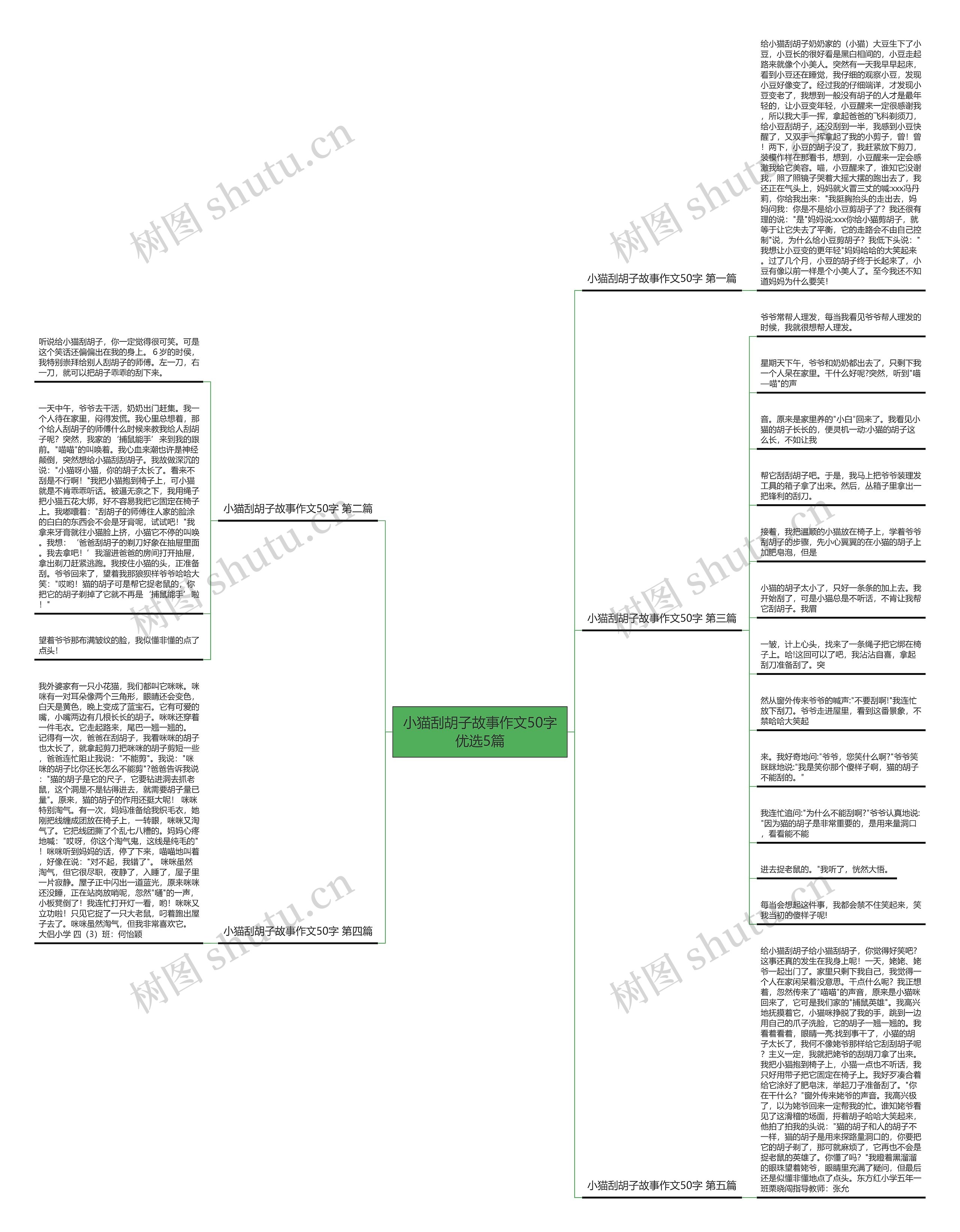 小猫刮胡子故事作文50字优选5篇思维导图