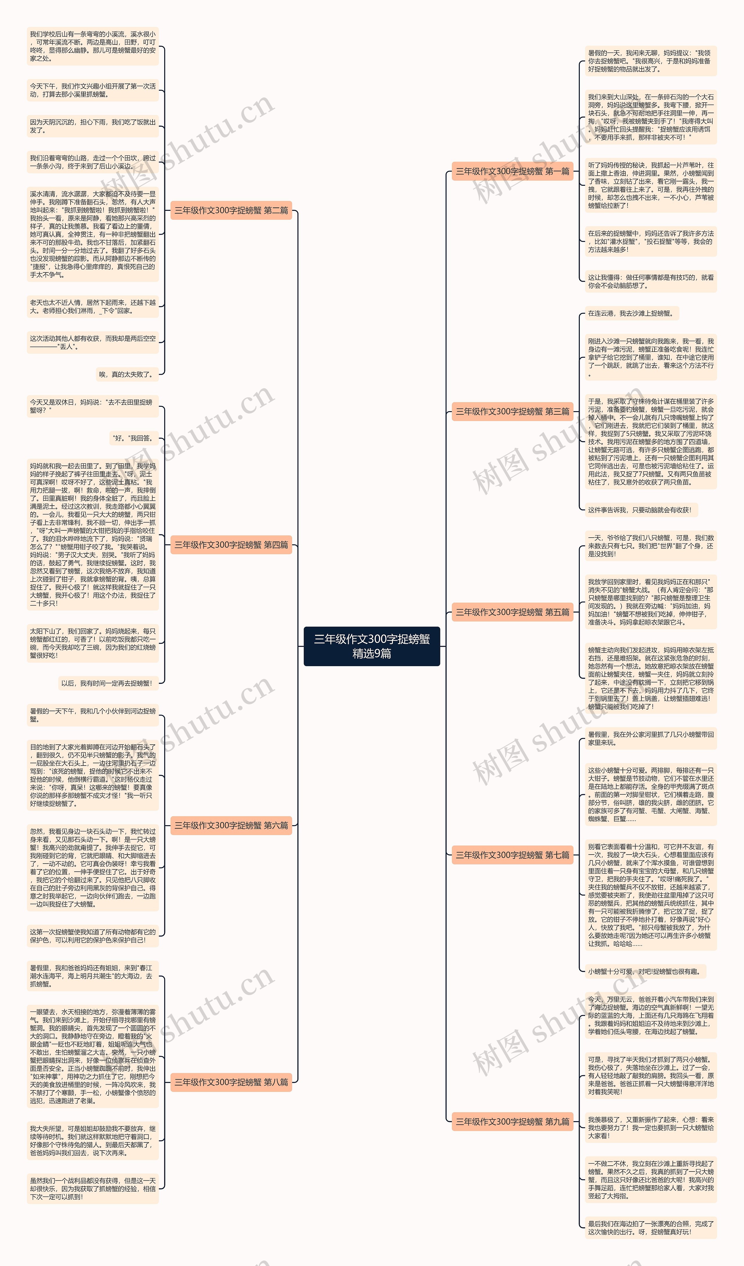 三年级作文300字捉螃蟹精选9篇思维导图