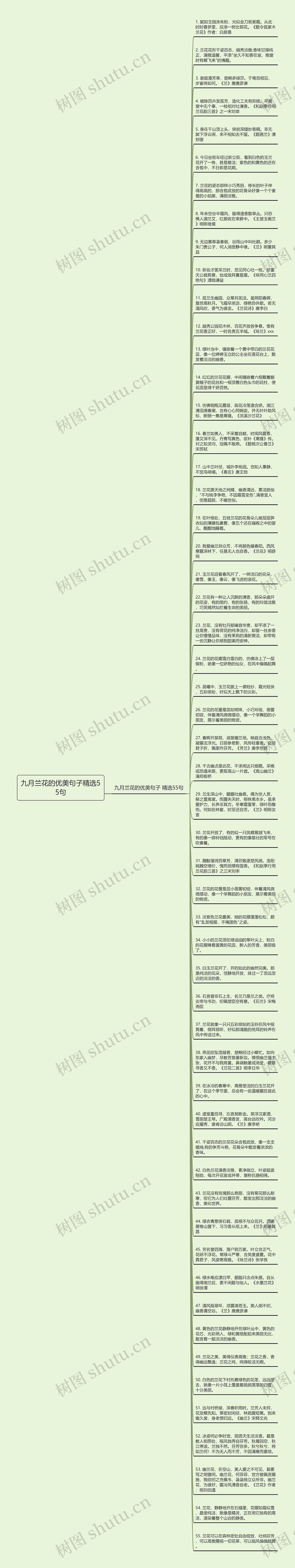 九月兰花的优美句子精选55句