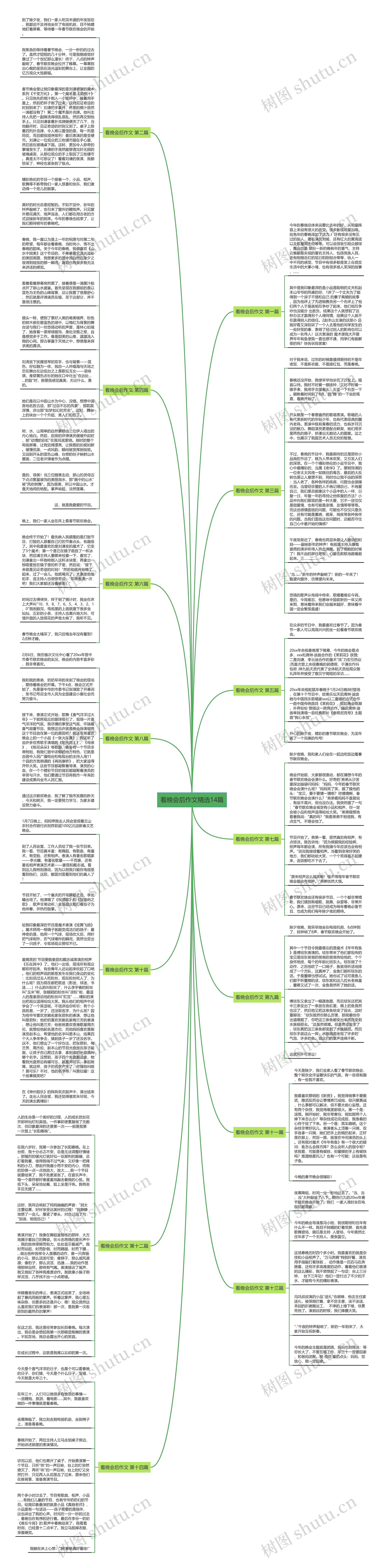 看晚会后作文精选14篇思维导图