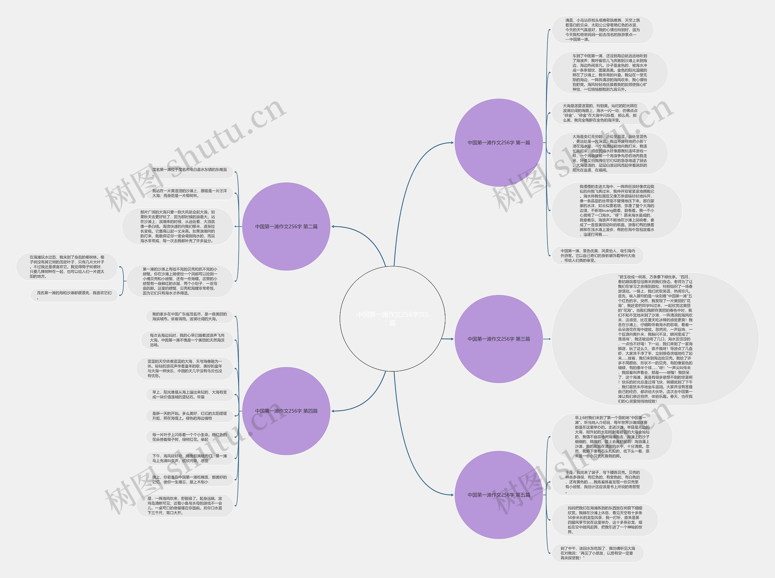 中国第一滩作文256字共5篇 中国第一滩作文256字共5篇