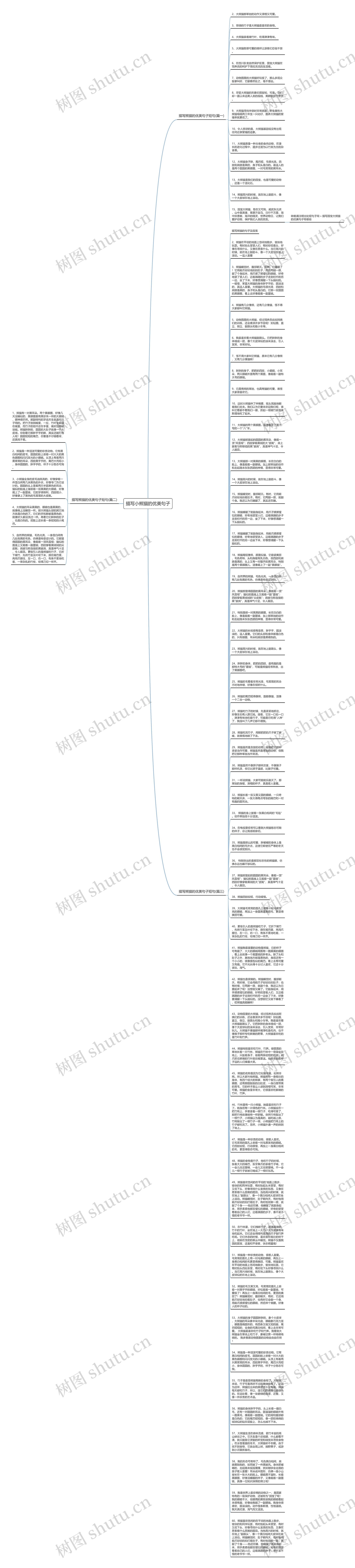 描写小熊猫的优美句子思维导图