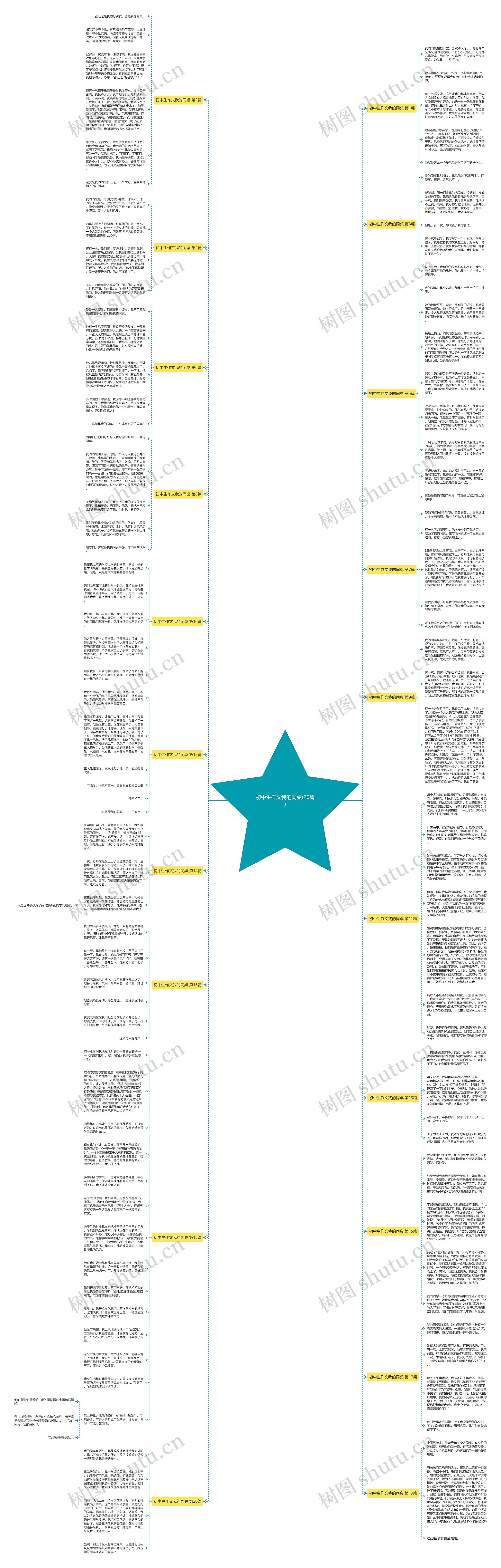 初中生作文我的同桌(20篇)思维导图