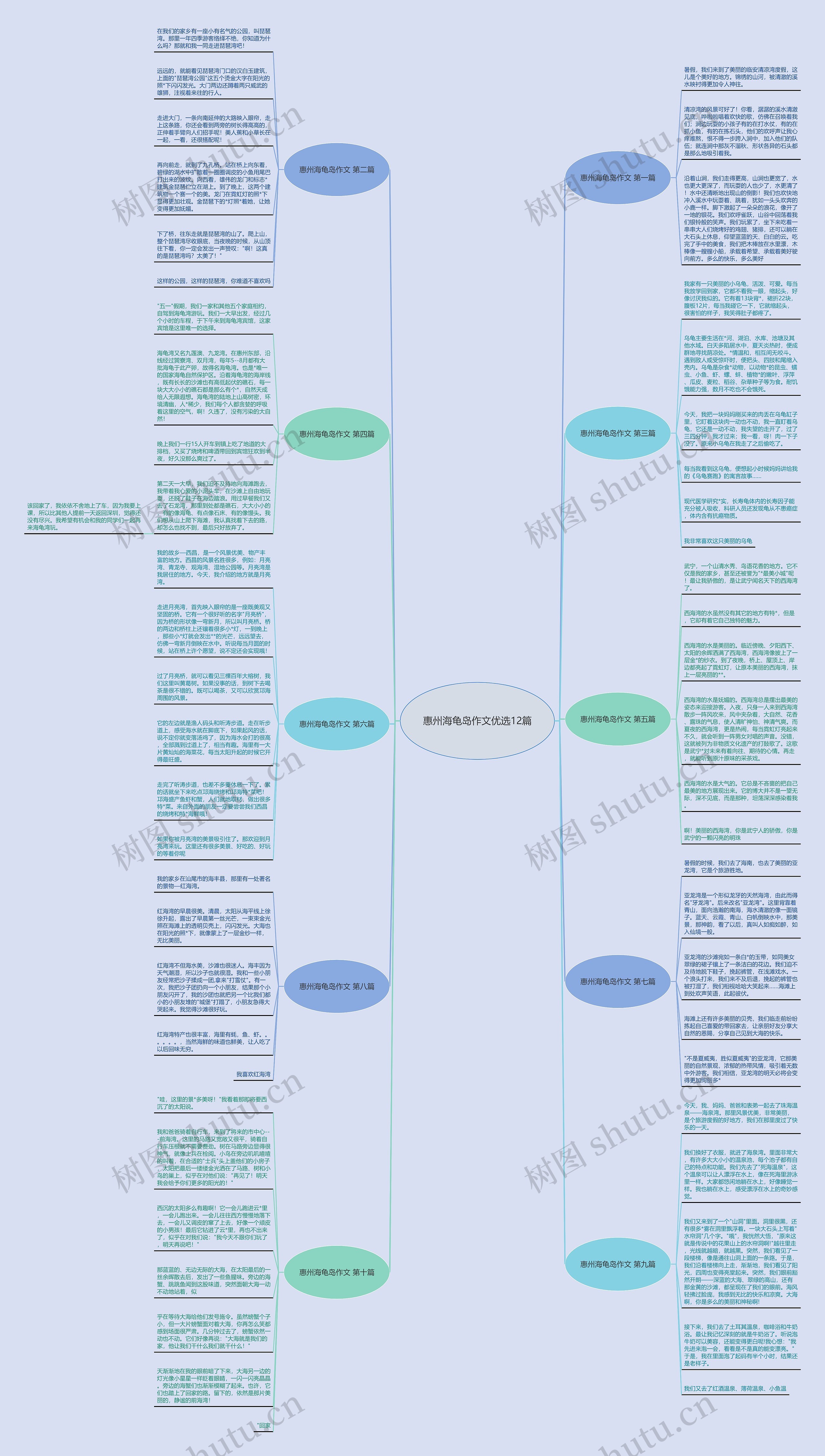 惠州海龟岛作文优选12篇思维导图